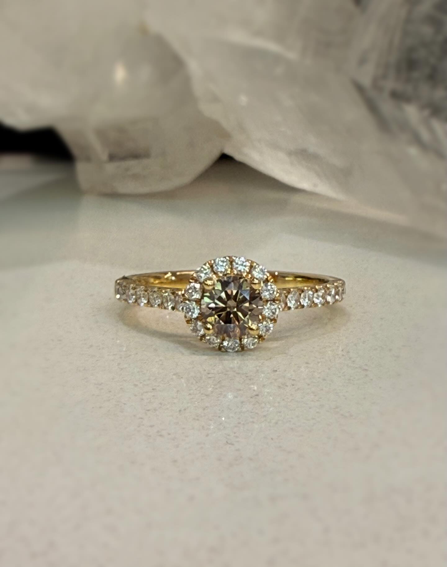 Australian chocolate diamond halo 🤎
#australiandiamonds #chocolatediamond #diamondhaloring #engagementrings #ainsleyfinejewellery