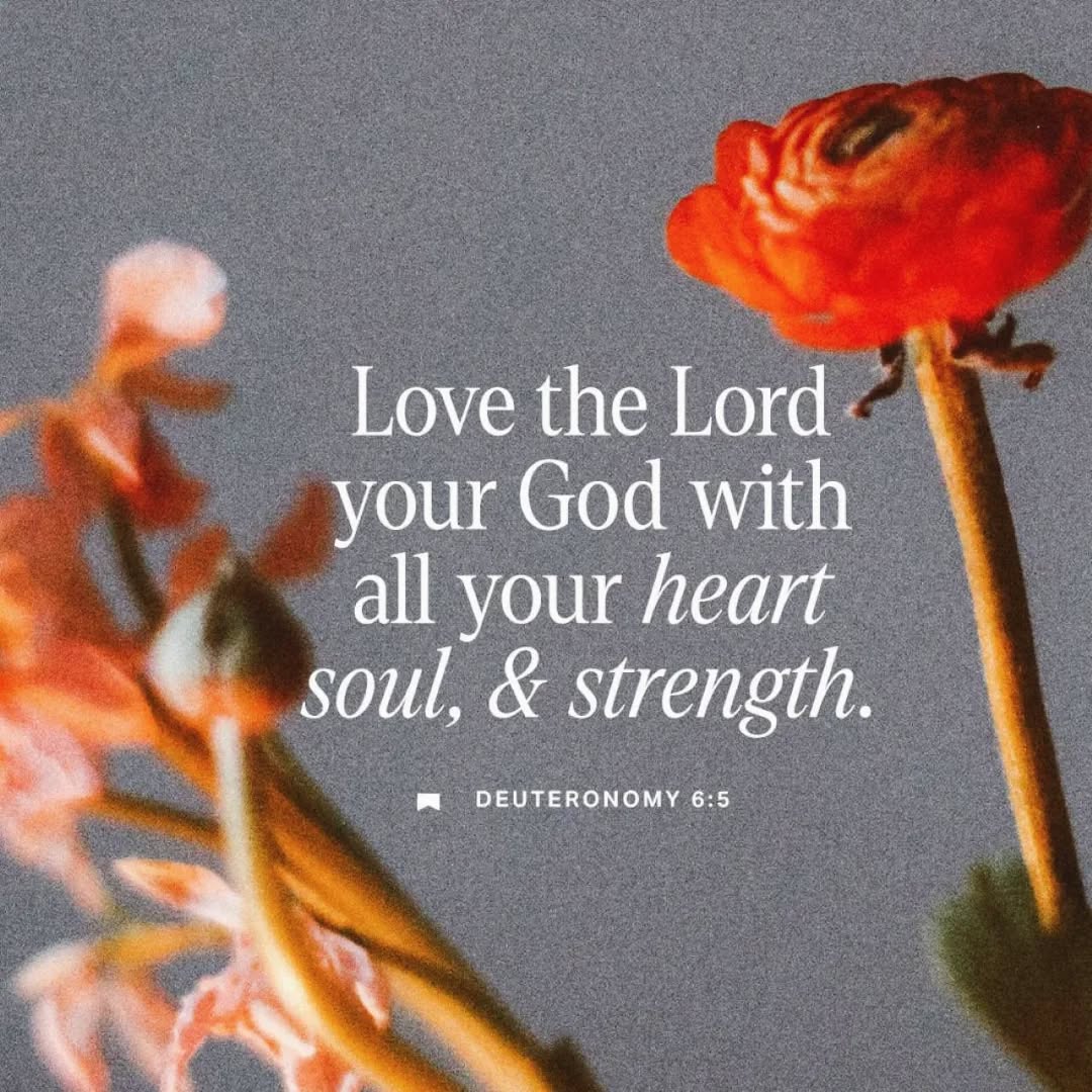 When life is hard, when friends and family around you are struggling with health or relationship issues, it can feel that you have no strength, that your soul is laid waste, and that your heart is broken. That's when the Lord your God reverses the flow of love back to you; to replenish your heart, soul and strength, and show you you are held tightly, gently in his loving arms. For as long as it takes.
#faithhopelove #lovinggod #brokenheart #lifeishard
