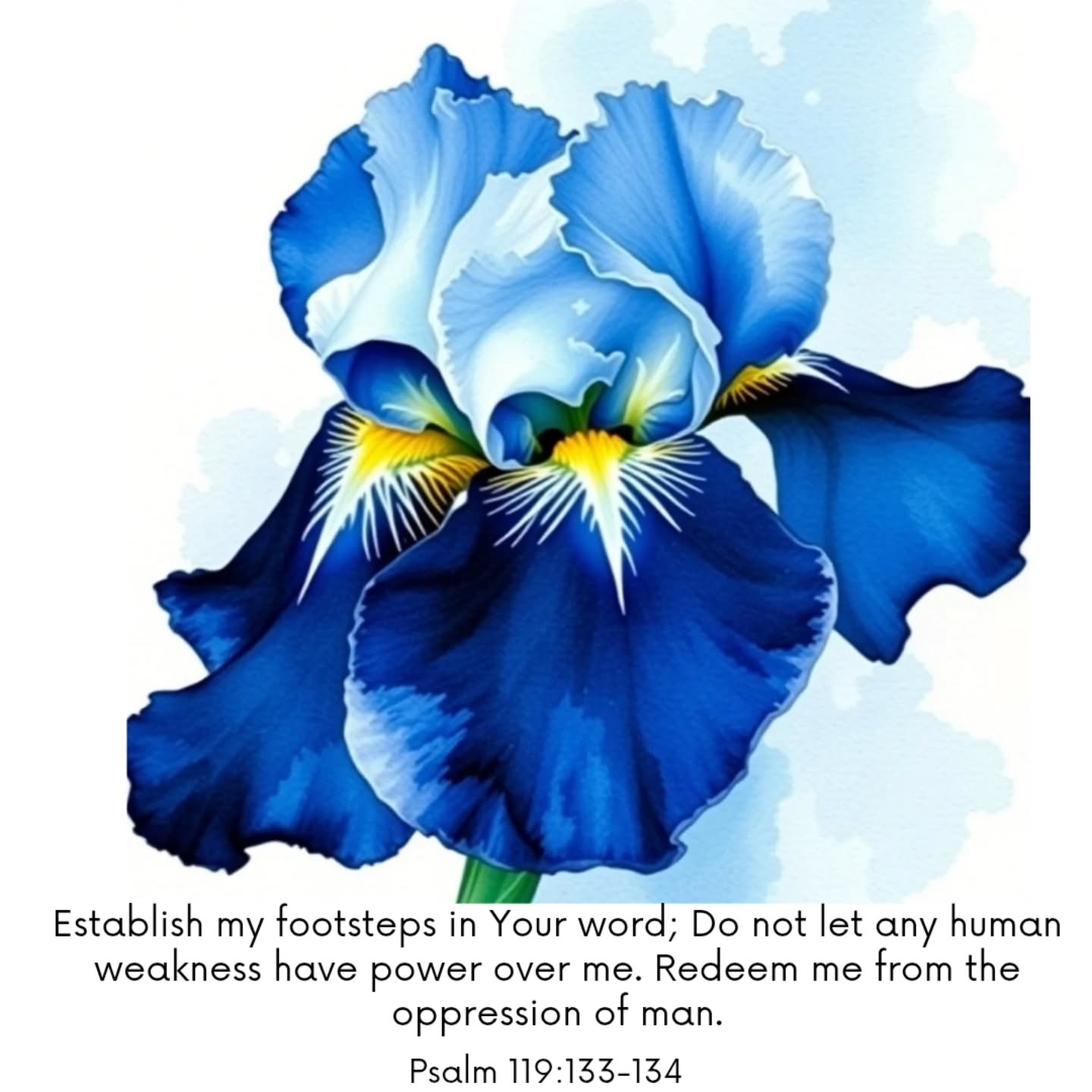 No weakness gets the final say.
My steps feel held in a way I can’t explain.
Some days pull me into that quiet space where I’m thinking a little deeper than usual, and this illustration fits right into that mood.
It reminds me that I’m being guided even when I’m tired, and that the weaker parts of me don’t get to decide where my life goes.
If this reaches you today, let it sit with you for a moment.
No weakness in you has the power to pull you off the road He’s already marked out.
You’re steadier in Christ — the One who strengthens you — than you feel right now.
You’re stronger than you feel. And Heaven is closer than you think.
#collectorlife #dollcollecting #dollcollectors #dollcollection #iris