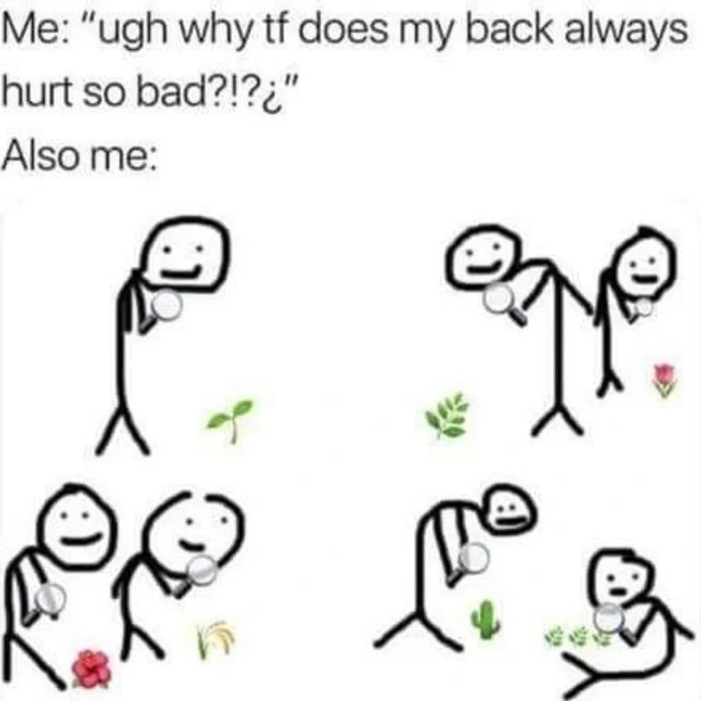 Hahaha this is so me, my camera roll consists of masses of photos of plants, insects and animals, I just can't help myself!
If it's interesting, sometimes even others might not think so, I'll take a photo of it!
#naturephotography #camerarollfuofplantpics #plantpics #somanyphotos #ilovenature #natureisbeautiful #flowerphotos #seedsupplier #horticulturist #horticulturistsofinstagram #plantmemes