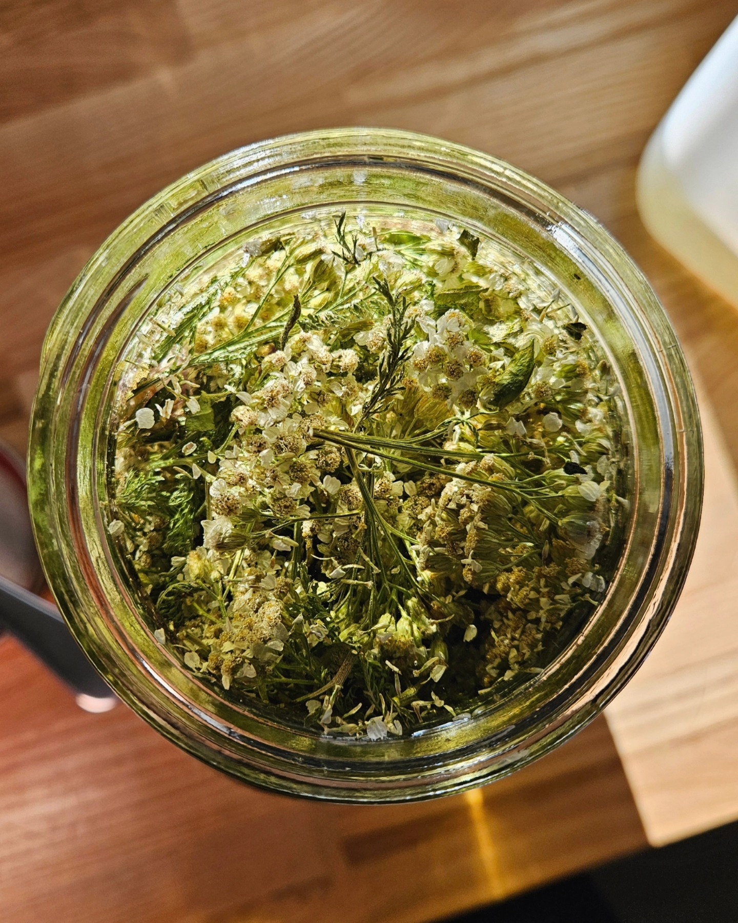 Slow summer evenings creating herb-infused oil.. βοΈπΏβ¨οΈ
#herbaloils #herbalremedies #herbalism #lughnasadh #lammas