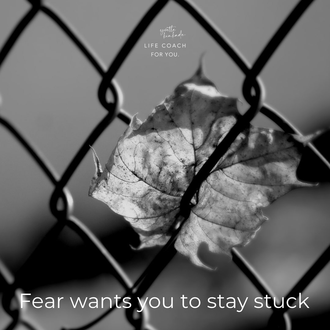 Fear wants you to stay stuck. It wants you to think about all of your mistakes, the skills you don’t think you have, all of the reasons your ego tells you shouldn’t take the next right step.
Fear wants to strip you of any self-confidence you have, because it knows you can’t move forward without it.
Fear wants to take away your faith in your own power, and in any higher power you are connected to.
Fear wants to keep you firmly grounded, because it secretly knows (but doesn’t want you to know), your true self is powerful beyond measure. And fear is terrified of your potential power.
The antidote to fear is action. What action are you leaning into today? Share and let’s celebrate. #fear #confidence #unstuck #takeupspace #yvettekinkade #closethegenderconfidencegap