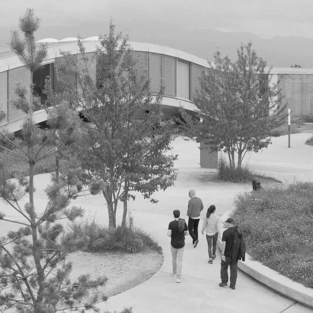 #epflcampus #rolexlearningcenter #cosandeysquare #openairmuseum #guidedvisitslausanne #guidingarchitects #customarchitecturaltours
Crédits photo: masswerkarchitekten