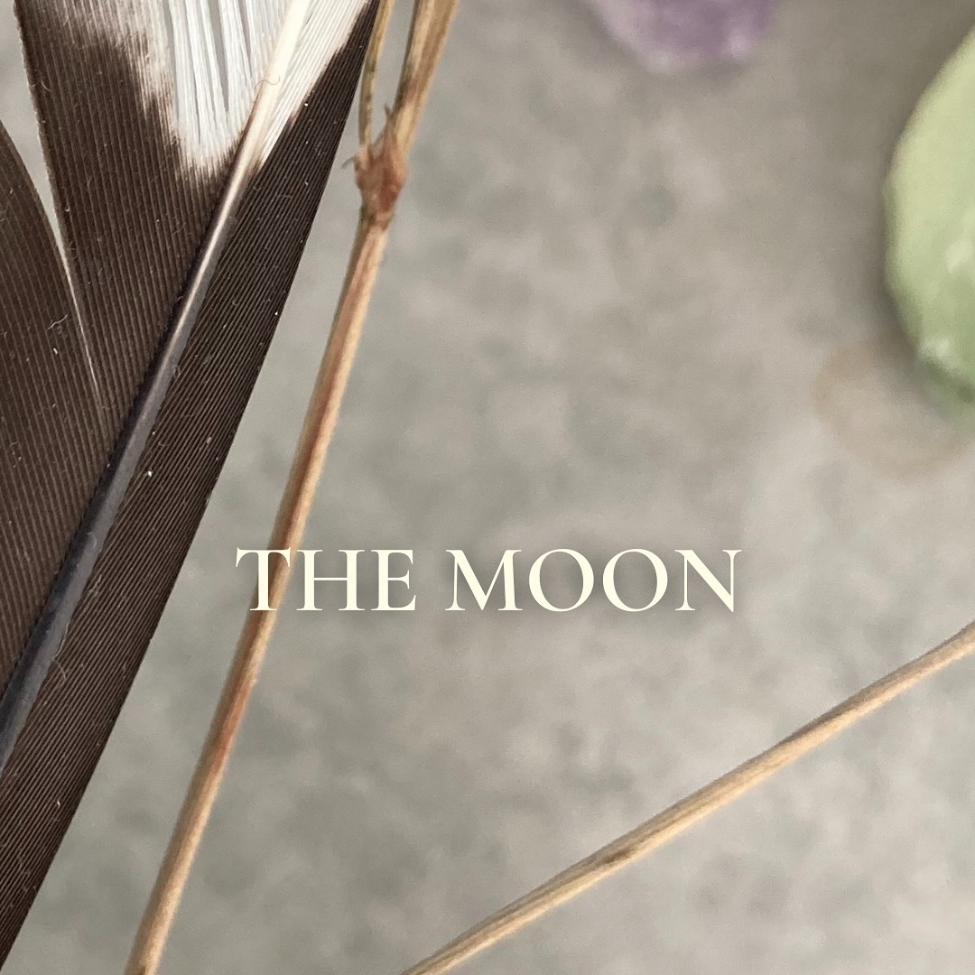 ✨💫 The moon in the chart shows us where your attention naturally goes. You don’t have to put any effort into it, it comes automatically. It represents our feelings and emotions, our intuition and mood. The moon also represents the mother.
⠀⠀⠀⠀⠀⠀⠀⠀⠀
#astro #astrology #astrologymood #astrologia #vedic #vedas #vedicastrology #starsandplanets #soul #soulguidance #guidance #lifeguidance #lifetools #selfhelp #vediclifestyle #vedicknowledge #vedicwisdom #yoga #ayurveda #selfcare #lifestyle #wisdom #healing #heal #astrologyposts #astrology101 #zodiac #signs #zodiaksigns #jyotish