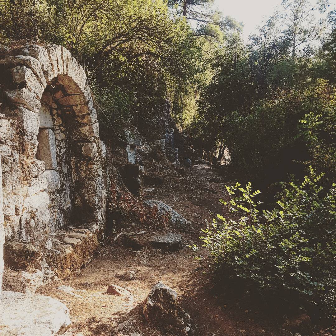 Discovering some ancient graves in #olympos
#travelling #turkey #nekropolis #stillstanding