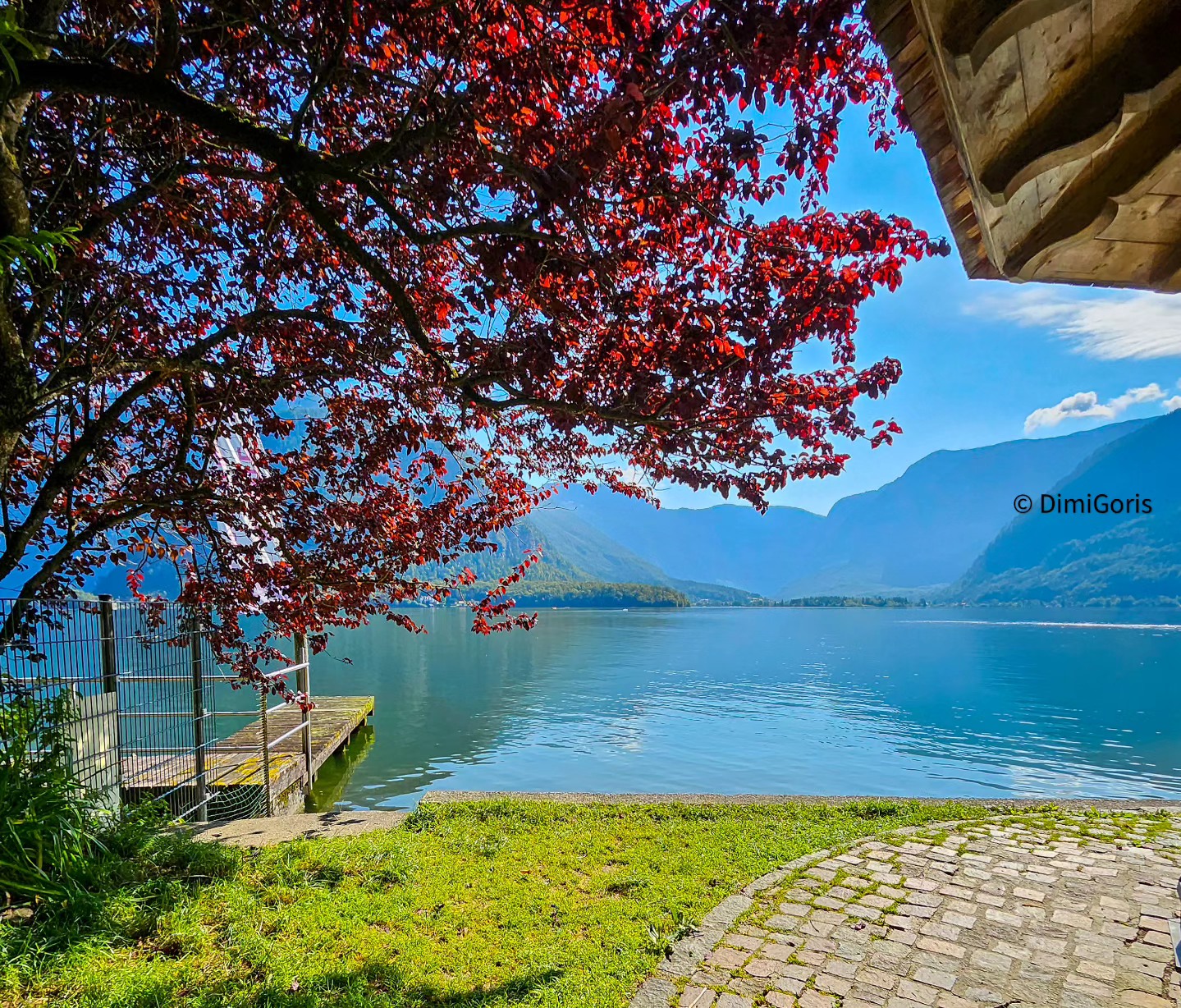 Very touristy, is Hallstatt in Austria. Yet I was able to capture this peaceful view.
#austria #hallstatt #mobilephotography #nature #lake #view #peaceful #travel #travelphotography
