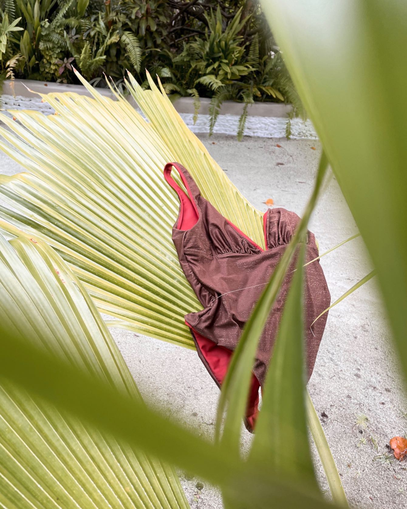 MY.O Swimwear everywhere ๐
Maldives with beautiful tropical decor ๐ด๐ฆ๐น
#tropical #decor #paradise #island #maldives #beautiful #swimwear #design #women #empowerment #beachday #ecofriendly #interchangeable #reversible #luxury #brand #swimsuit #myoswim #perfect #lifestyle #bikini #bikinibody #bikinilife #life #body #beachlife #fashion #luxuryswimwear #swimsuitmodel #traveltheworld