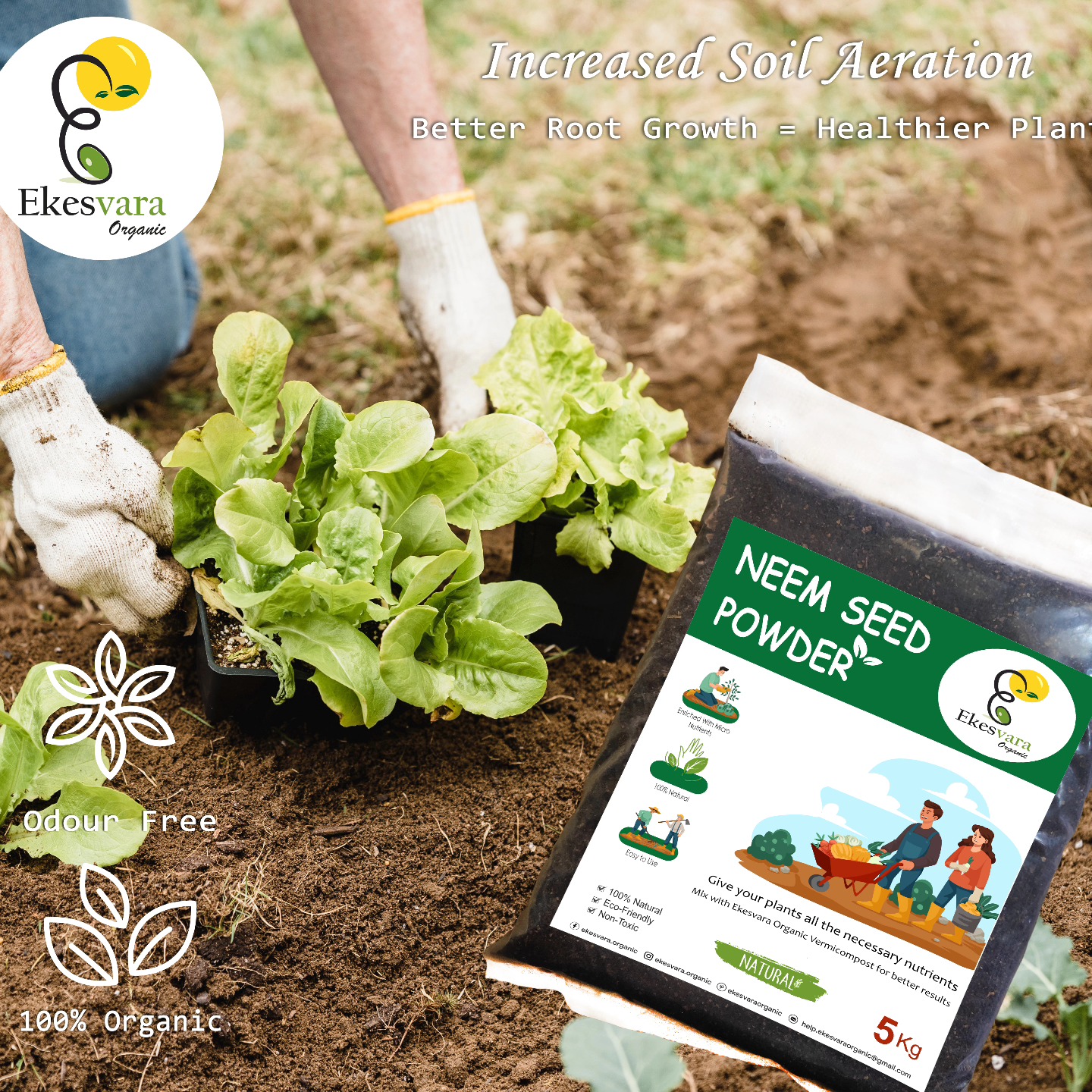 Neem Seed Powder 1kg and 5 kg pack
Order now on www.ekesvara.in
And get 40% Discount
#neemkhali #gardening #garden #gardenlife #plantlovers #plantsloverindia #plantsofinstagram #vermicompost