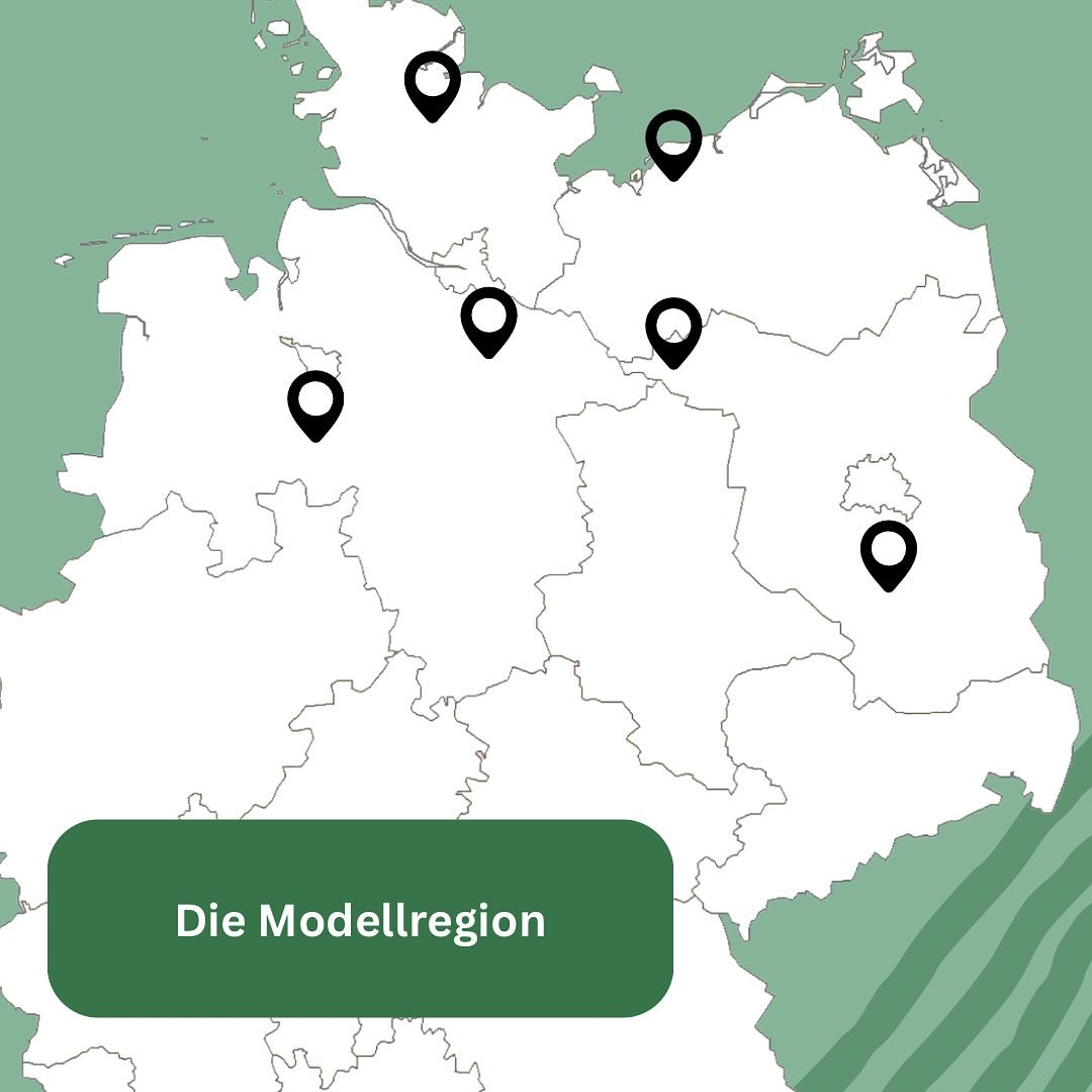 Auf sechs Demonstrationsbetrieben in Brandenburg, Niedersachsen und dem Ostseeraum werden verschiedene Pappel-AFS bewirtschaftet.
@biohof_garvsmuehlen @hoffuhlreit @hof_schierholz
@hof.hartmann.rettmer Landwirt Dümichen Hof Düpow
#agroforst #pappel #landwirtschaft