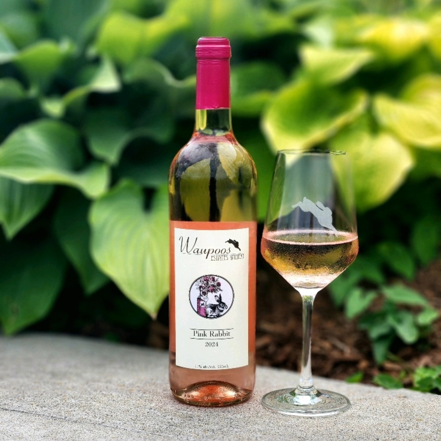 Our Pink Rabbit is back - and ready to steal the show.
This delicately hued rosé is bursting with bright notes of watermelon, strawberry, and cherry. Light, fresh, and impossible not to love.
Crafted in Waupoos at our waterfront winery in Prince Edward County, this seasonal favourite is perfect for patio sipping, picnic pairing, or alongside your next farm to table meal.
Hop to it - now pouring
📍Tasting room + Restaurant
@pecwine