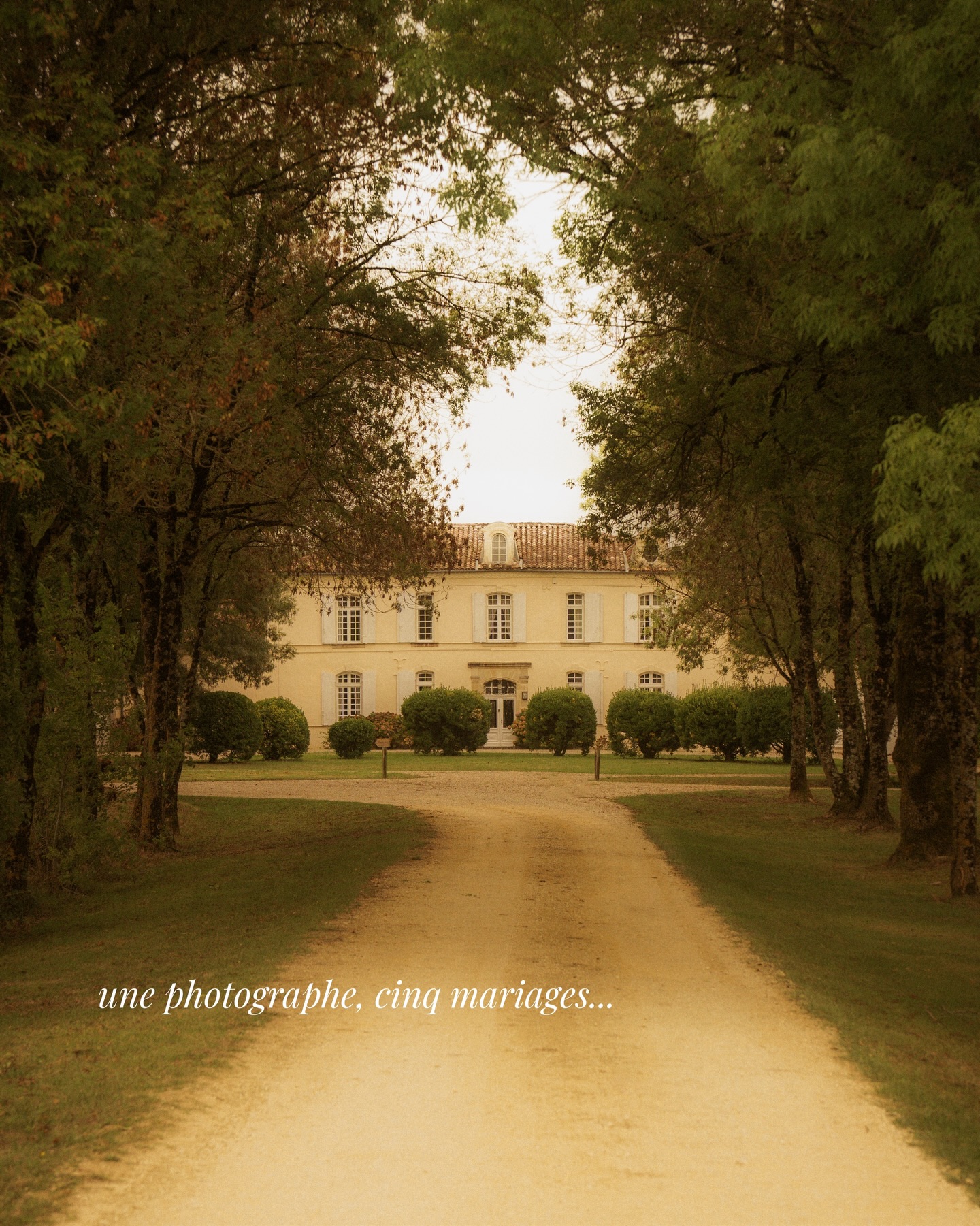 Même regard, même sensibilité… et pourtant cinq histoires uniques. Parce qu’aucun mariage ne se ressemble : les lieux, les lumières, les émotions, les énergies changent. Et c’est exactement ce qui rend ce métier si passionnant 🫶