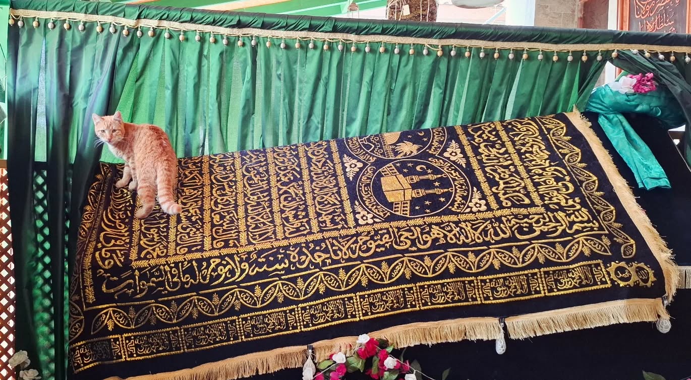 Come, come, whomever you are... but contact us first! 😌
Ramadan is almost here, if you haven't booked your stay or transfers, now is the time.
.
.
.
.
#sheikhnazim #seyhnazim #sufitariqa #sufitour #sufivibes