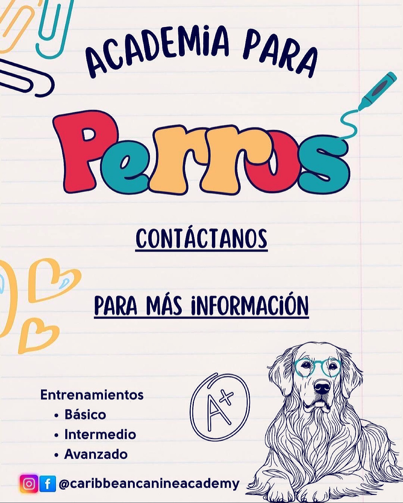 Puerto Rico‘s premier dog training Academy. Entrenamiento profesional Canino para resultados reales. Calma, estructura y comunicación clara. Programas de entrenamiento para perros desde los cuatro meses. En adelante diseñados para personas que buscan cambios reales y duraderos. Reserva tu espacio ahora. Más información link en bio o WhatsApp 787-232-5994