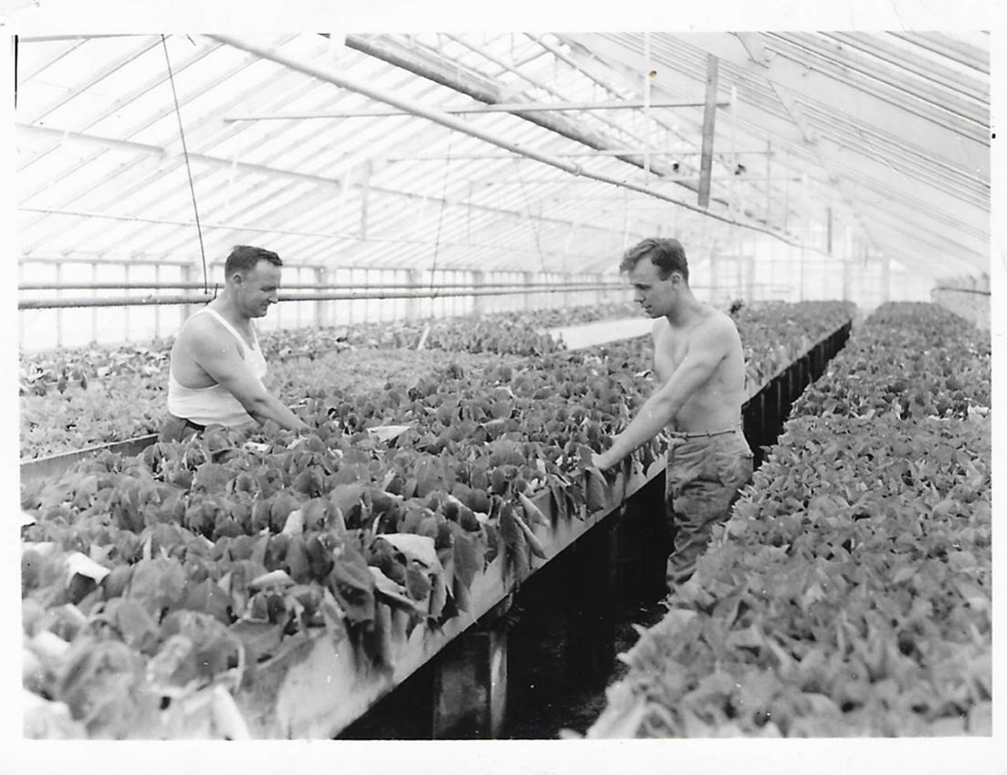 Happy Father’s Day!
Today we celebrate fathers everywhere and we remember Russell Weiss and his father Kurt Weiss. They are shown in the photo working together on what appears to be a poinsettia crop.