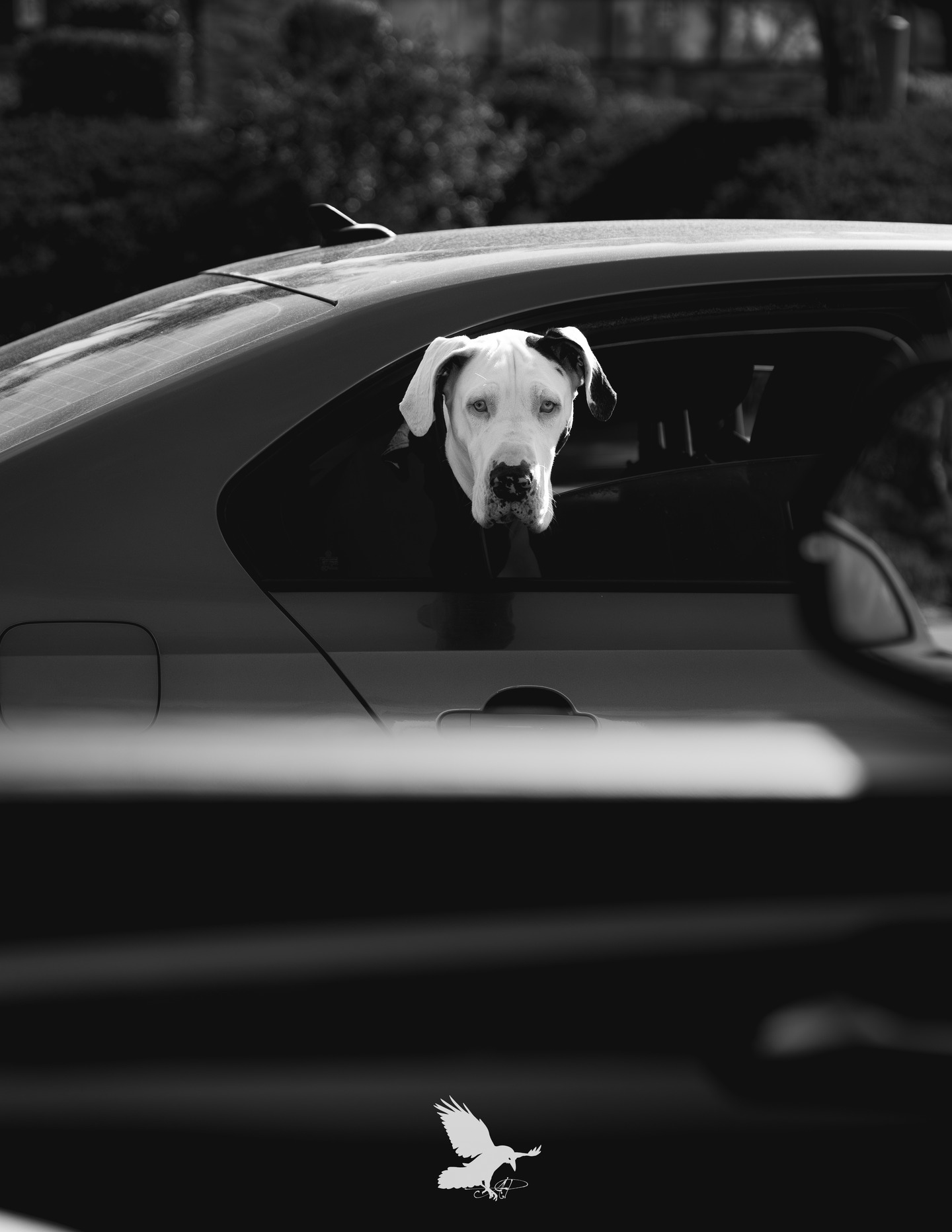 Start your week off with a dose of serotonin.