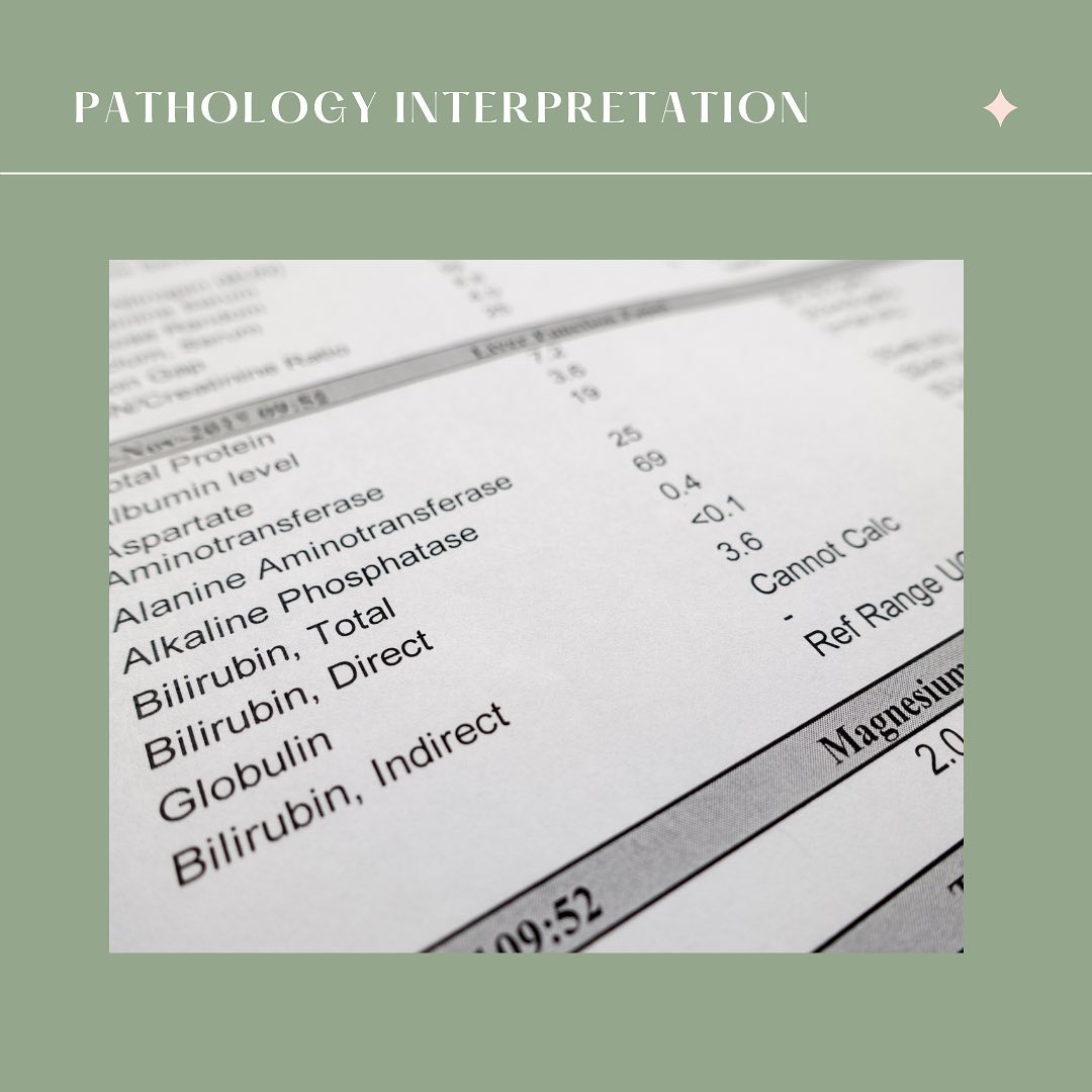You can discover SO much from basic labs ordered through your GP.
Things like whether youâre consuming enough protein, your acidity load, nutrient deficiencies shown via your liver enzymes, inflammatory markers, the way your body utilises nutrients and so much more. This is an area Iâve been upskilling in over the past few months so if youâre feeling off but have been told youâre fine though by your GP or you are curious to have a health check up with your blood test results book an app with me (link in bio) . đż
â¨Some take home must dos!â¨
~Always fast (this means no cup of tea or coffee!) before routine labs
~Be well rested - this means generally no exercise for 3 days roughly (for the weekend warriors running long distances up to 20ks plus this could mean 1 week of rest - sorry đ
~Liver enzymes are very sensitive so avoid any big nights for 3 days prior
~Most references ranges are individualised to the lab testing the blood. This means that with todayâs trending obese population in Australia references ranges are built around this new normal. When coming to see me I use up to date research on what an optimal range should be, not always the reference range you see on your results.
I pride myself on using evidence based approaches to healthcare so msg me if you have any questions xx Han