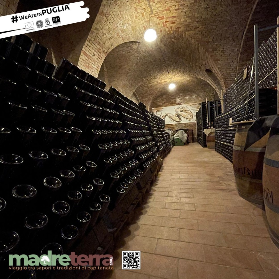 SABATO 23 novembre - SAN SEVERO ORE 18.15
ใ๐๐ฎ๐จ๐ ๐จ - Appuntamento a Palazzo Celestini alle 18.00;
- ๐ ๐ผ๐ฑ๐ฎ๐น๐ถ๐๐ฎฬ ๐ฑ๐ถ ๐ฝ๐ฎ๐ฟ๐๐ฒ๐ฐ๐ถ๐ฝ๐ฎ๐๐ถ๐ผ๐ป๐ฒ: EVENTO SOLD OUT
San Severo, cittร simbolo nella produzione vitivinicola, contร nel sottosuolo circa 500 cantine. Alcune di loro visitibili, altre ospitano centri produttivi e di commercializzazione di vino e bollicine, tante altre chiuse e/o dismesse. Sabato 23 ospiteremo 30 fortunati a un evento straordinario che invita i partecipanti a esplorare le meraviglie sotterranee della cittร , facendoli immergere nella storia e nella cultura del territorio.
L'evento sarร curato da una guida specializzata di Confguide che guiderร gli ospiti in alcune di queste cantine prima dell'evento Masterclass della sera.
Questo evento fa parte della rassegna ๐ด๐๐
๐๐๐๐๐๐๐ ๐ญ๐๐๐, unโiniziativa che promuove la valorizzazione dei patrimoni culturali e gastronomici della Puglia finanziata da @pugliapromozione_aret - #weareinpuglia POC Puglia 2014-2020 - Asse VI Azione 6.8.
Abbigliamento informale