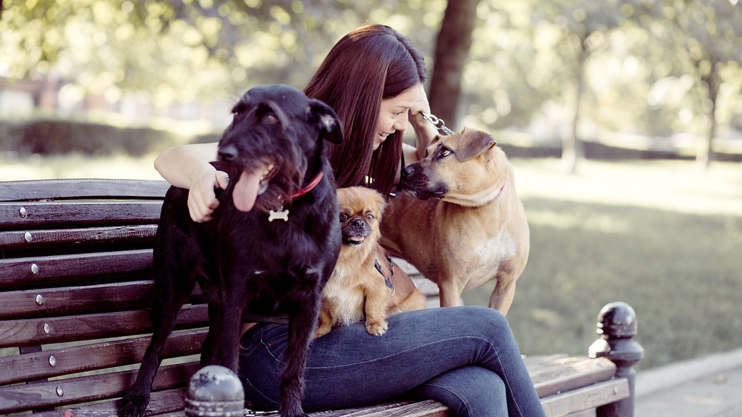 Check out my blog post
#newblogpost