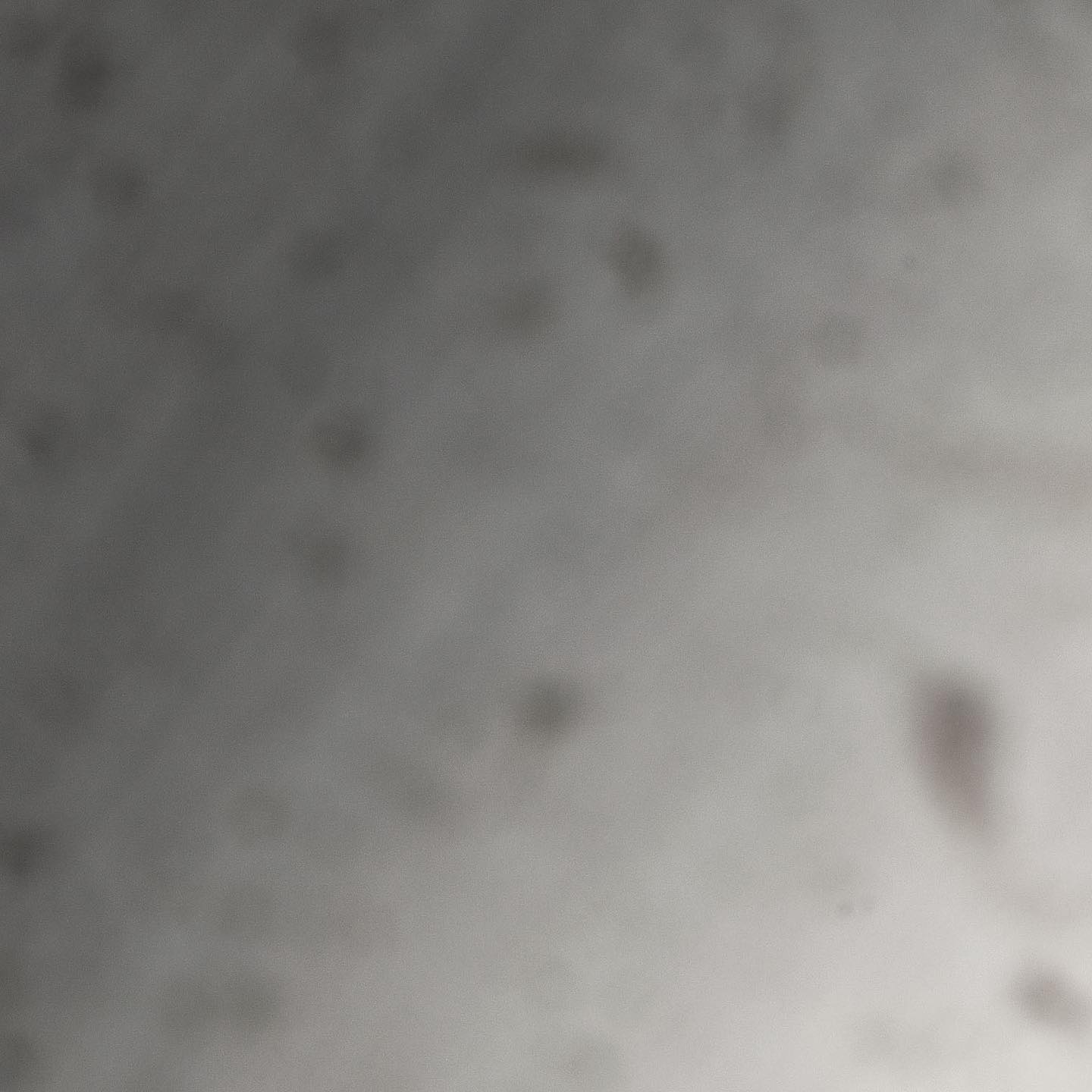 Simply divine.
Left: 1.5 carat round brilliant set in a timeless 6 prong platinum setting
Right: 2 carat round brilliant diamond set in a gorgeous platinum pave setting
#engagementring #engagementringhk #diamonds #diamondshk #naturaldiamonds #labgrowndiamonds #labgrowndiamondshk