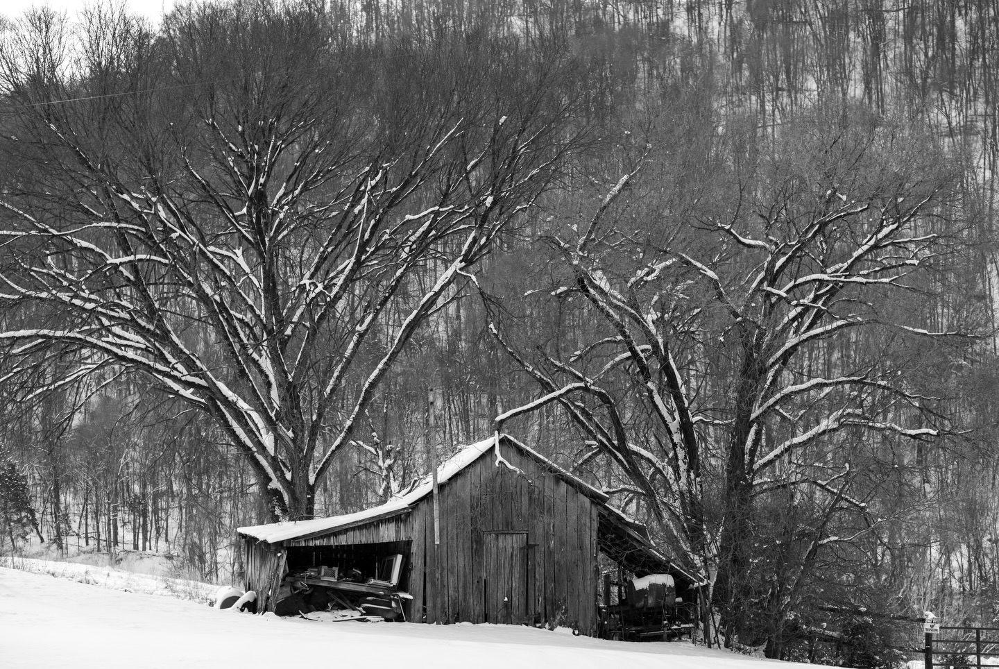 A beautifully covered barn along 11W heading towards Cherokee Lake just outside a Rogersville, TN covered in snow.
Camera: FujiFilm XT5
Lens: FujiFilm 50-140 f2.8
No filter
#fujifilmxt5 #fujifilmx_us #blackandwhitephotography #photography #tennessee