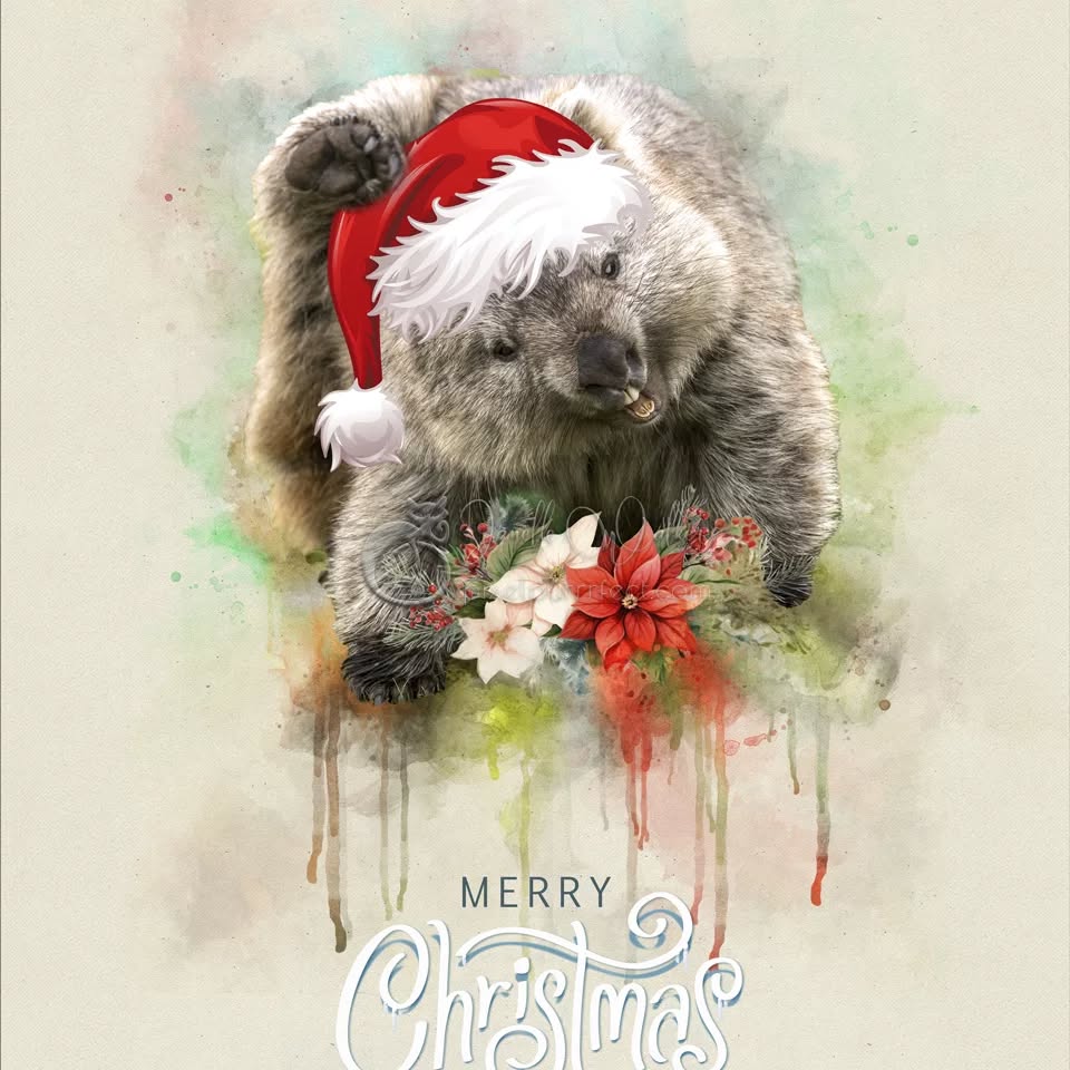 Wishing you all much love, peace and happiness this Christmas.
.
.
.
.
.
.
.
.
.
.
.
.
.
#MerryChristmas #PinkRobin #pixelpurrrfectphotography #exquisitepics20_australia #rebel_artandedits #mcl_arts #illustrious_art #artistry_flair #super_photoeditz #edit_lovers_united #wildlife_artistry #Creative_AnimalArt #bpa_arts #photo_creation_silver #rebels_nature #rebels_united #explore_wildlife #wonderland_arts #art_andfact #galleria_of_grace #illustrious_magic #dreamland_arts_of_nature #rawedit_ #wildlife_artists #everything_animals #nature_perfection #everything_imaginable #pictas_art #fiftyshades_of_nature #excellent_wildlife