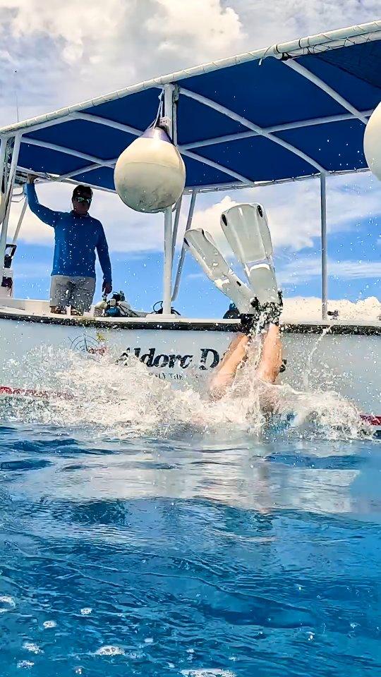 Your most unforgettable dive in Cozumel?
Tell us in the comments 👇
#AldoraDivers #Cozumel #ScubaDiving #DiveAvelo #PADI