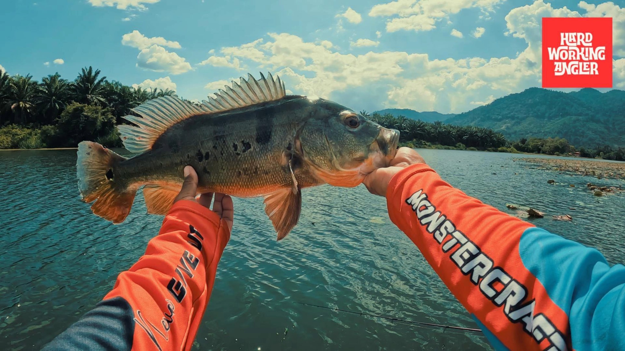 lunker! Contact us for peacock bass fishing trip in Malaysia
#peacockbassfishingguidemalaysia #hardworkingangler #fishing #visitmalaysia
#peacockbass