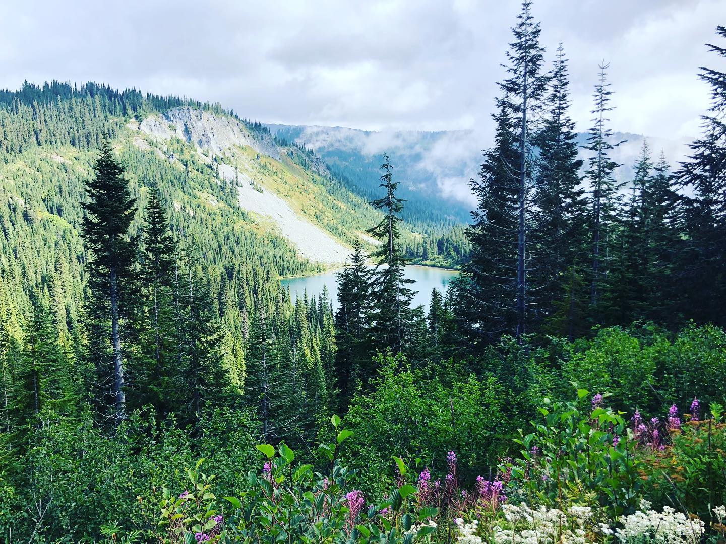 Head over to the blog for our final guest post on the national parks in Washington - a highlight of Mount Rainier National Park.
Want to a hike a less traveled and busy trail that will still offer beautiful views? Check out the Pinnacle Peak trail.
📸 @pnw.hiking.trails
.
.
#explore #getoutside #wanderlust #neverstopexploring #shewanders #sheisnotlost #womentravelers #girlsthatwander #travelblog #travellingtheworld #mountrainiernationalpark #mountrainier #nationalparks #pinnaclepeak #hiking