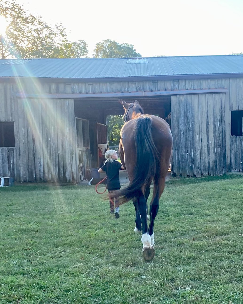 Tiny but mighty….
Often times parents are afraid to let their children ride “the big horse”. They think that big horses are dangerous.
That’s not always true.
Sometimes, it’s the small ponies that prove to be much more difficult to ride than the gentle giants.
The toughest horse on my farm happens to be a 36 year old pony who uses his head as a weapon, isn’t afraid to voice his opinion, and literally bosses his herd around and has their upmost respect. (His herd happens to be comprised of a whole bunch of ”big” horses.)
So don’t let the size of a horse (or a kid) fool you.
This tiny but mighty kid handled this gentle giant like a champ! 💖