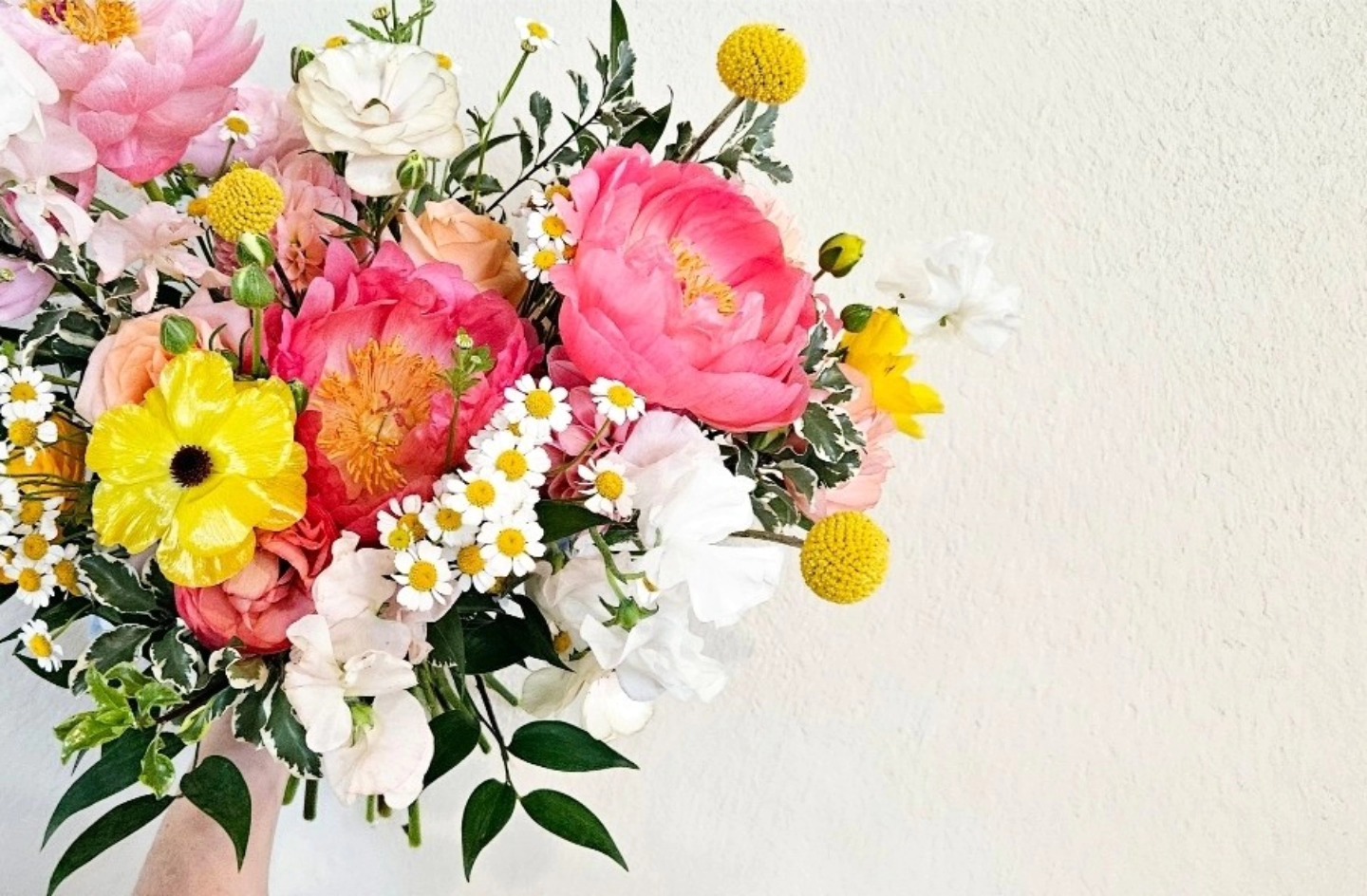 Happy Tuesday! 🌿
Sending you a little ray of color to brighten up this cloudy, rainy day!! Remember, gray skies make the perfect backdrop for beautiful things to shine 🙌✨️