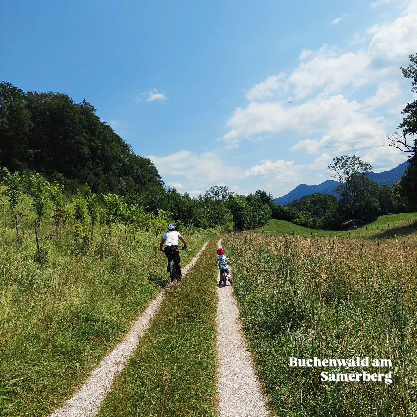 Wie wär's mit ner kleinen Radlrunde über den Samerberg?
Eure Radl könnt ihr bei uns unterstellen - oder aber ihr leiht euch welche im @bikeparksamerberg aus...
#radlfahrn #fahrradfahren #radl #fahrrad #samerberg #immermithelm #servussamerberg #fahrradfahrenmachtglücklich #urlaub #urlaubaufdemsamerberg #urlaubsregionchiemsee #urlaubaufdembauernhof #ferienwohnung #ferien #familienzeit #wanderhöfesamerberg #weissnhof_samerberg #weissnhof