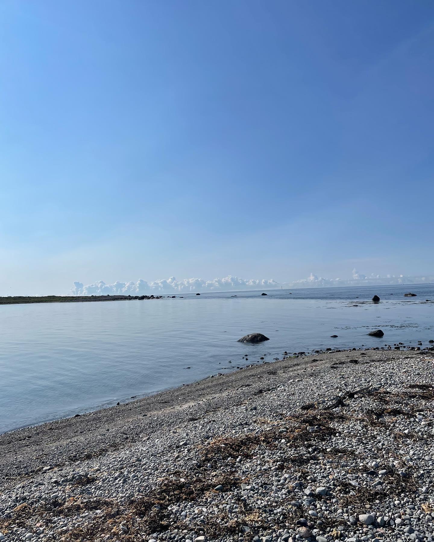 Kysten vår😍
#rydditide #handelsmiljøfond #geanorvegica #geanorvegicageopark #unesco #unescoglobalgeopark #kyst #skjærgård