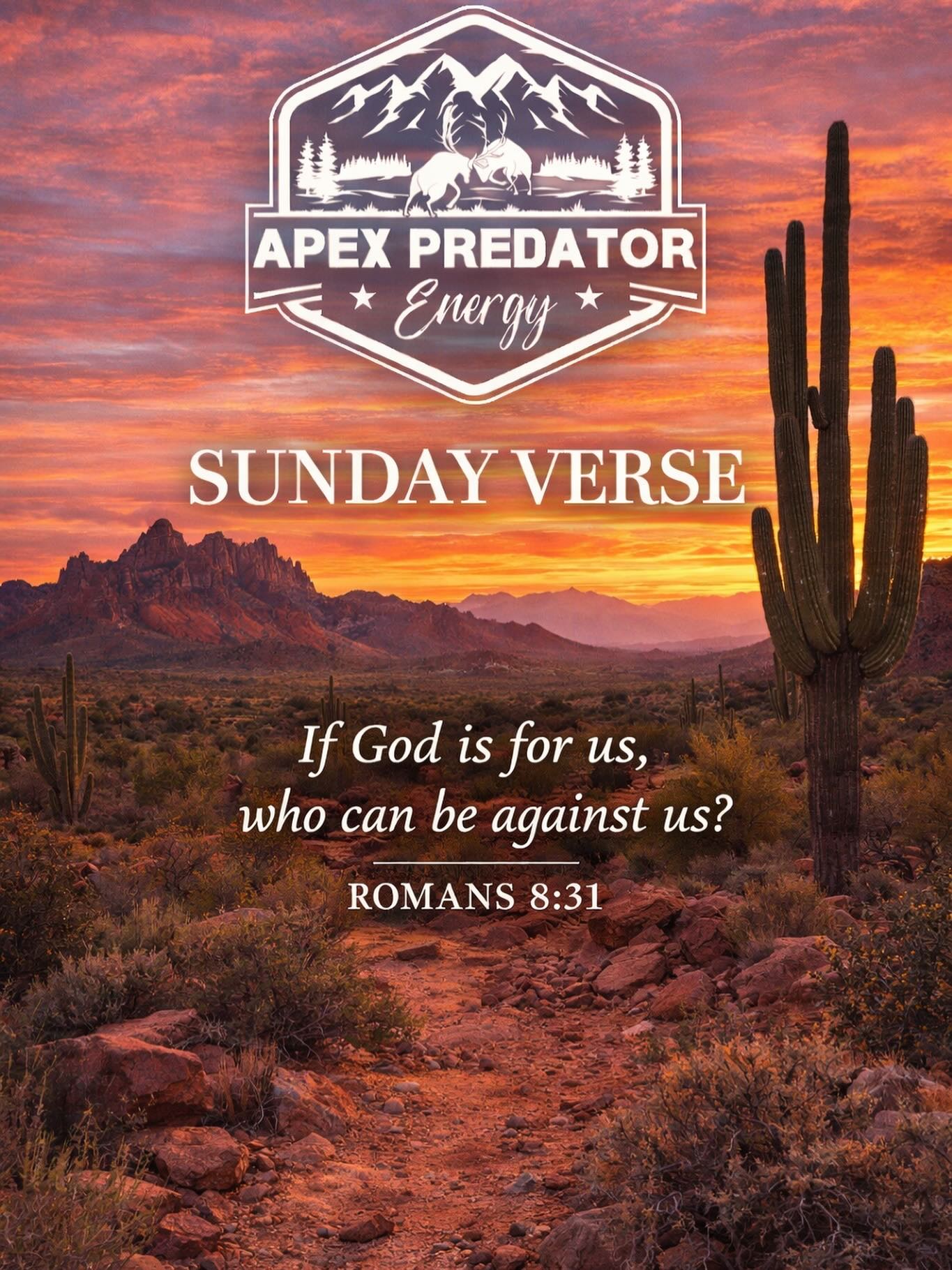 God is for us. 📌
#sundayverse #apexpredatorenergy