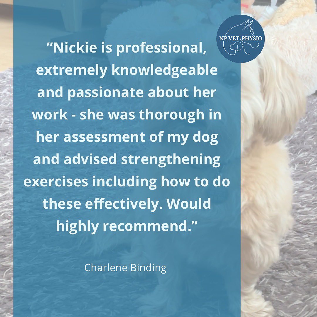 ๐ฅฐ Grateful for dedicated clients, lovely reviews and for being able to help the doggos ๐ถ
#vetphysio #npvetphysio #caninephysio #caninerehab #dogsofinstagram #cam