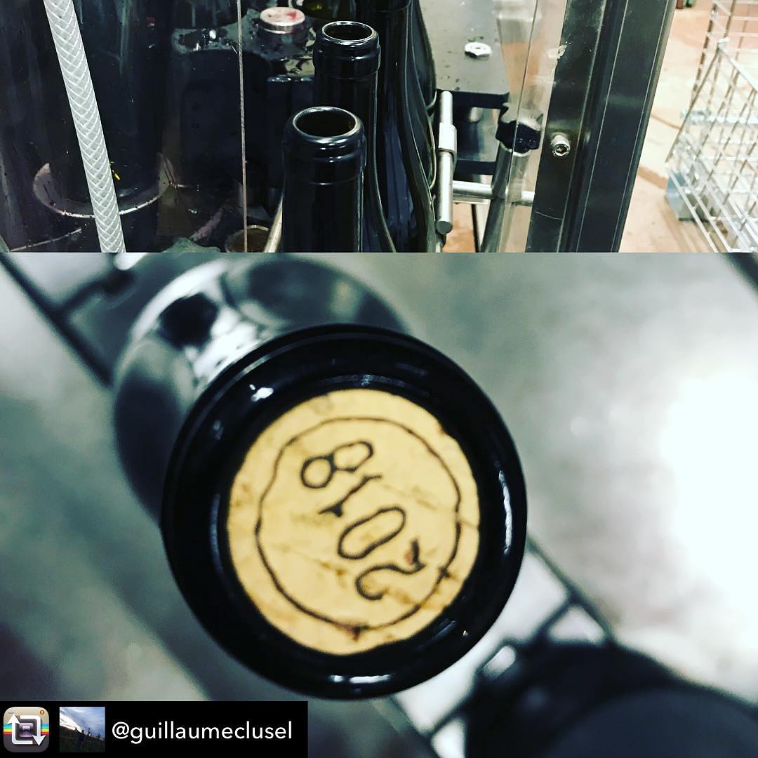 Mise en bouteilles des traboules 2018 de @guillaumeclusel !!