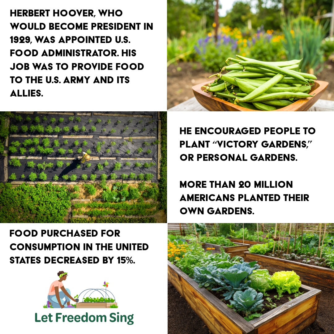 Food In 1776: Most families grew their own food: corn, beans, salted meat, and seasonal vegetables. Sugar and spices? Luxury imports!