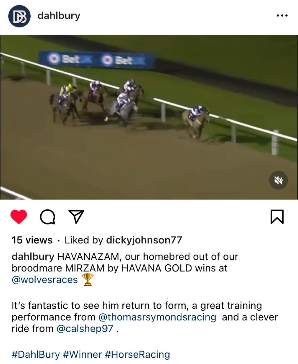 Delighted with Havanazam’s🥇win @wolvesraces for @dahlbury having trained his mother Mirzam too👌#britishbreeding #thomassymondsracing #dahlbury #havanagold #tweenhillsstud #homebred #gundoggin #redmillshorsefeeds #herefordshire #wolverhampton