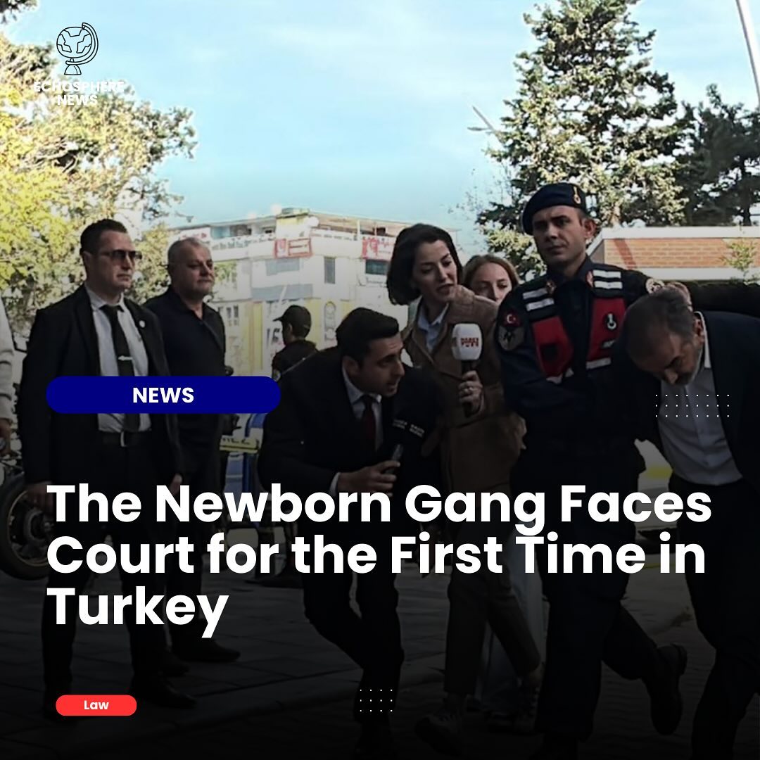 Read our newest article on our website! Link in bio 🌍