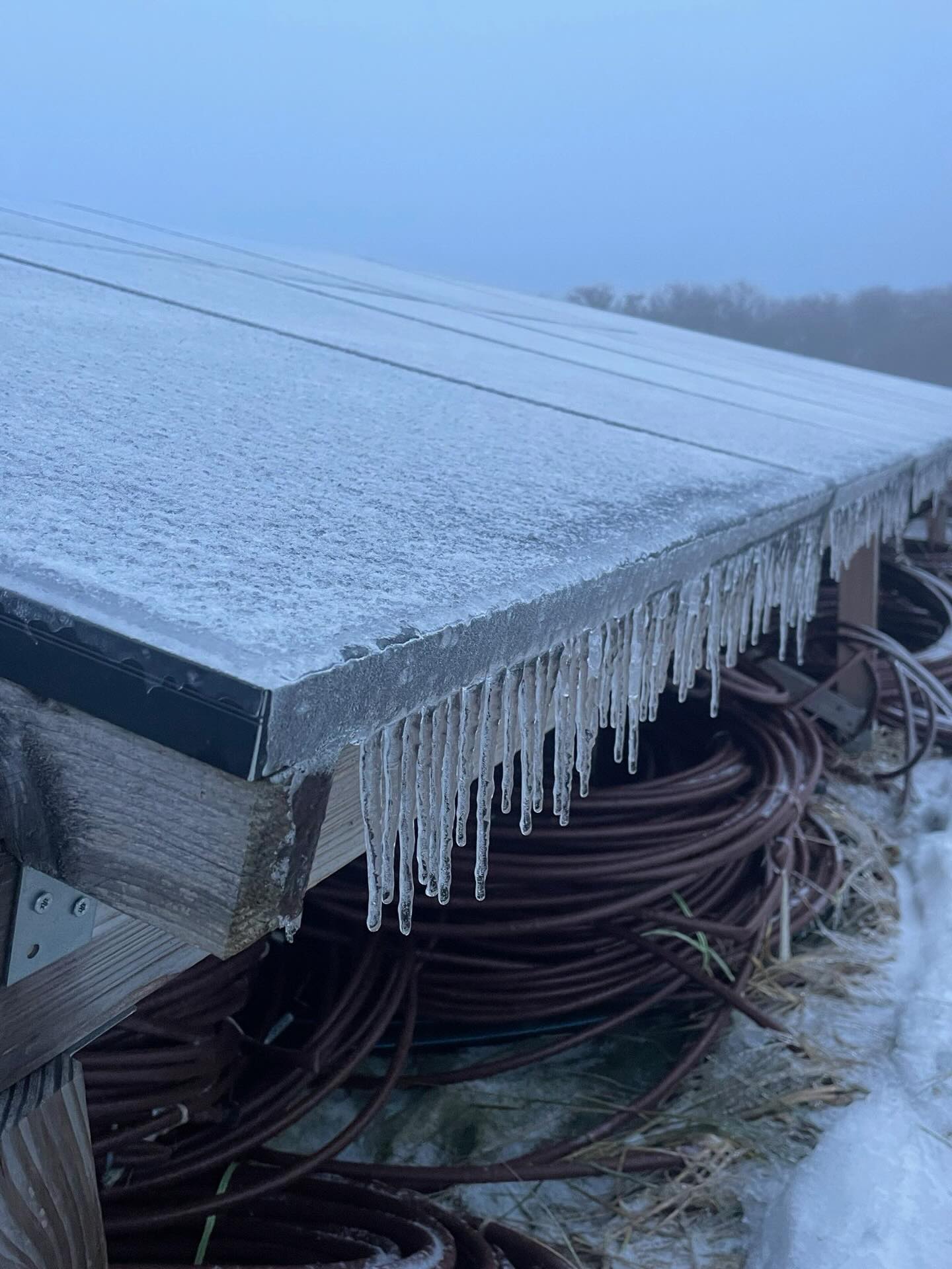 Ice Age auf dem Acker #woistsid #wintergemüse #solawi #frohnau #ziehdichwarman