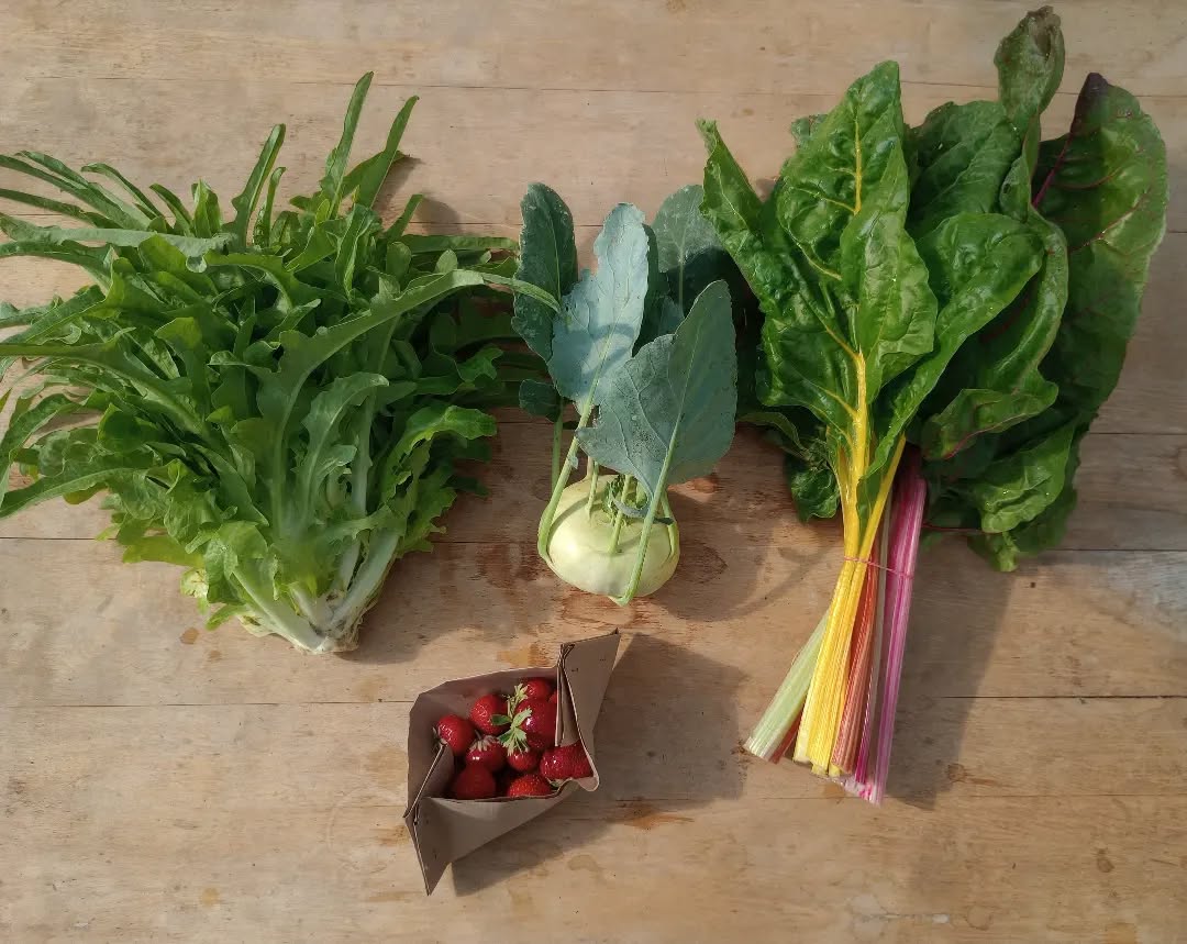 Die erste Mini-Kiste🤗❤️