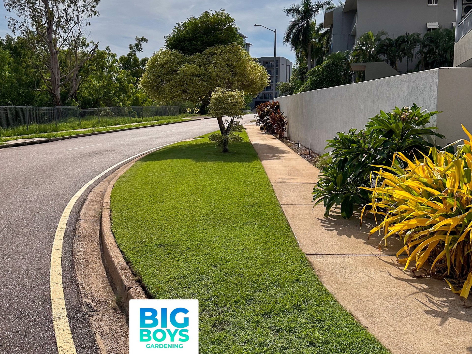 A quick tidy before the Monsoon arrives
#monsoon #darwin #nt #lawns #freshcut #gardening #lawnmowing