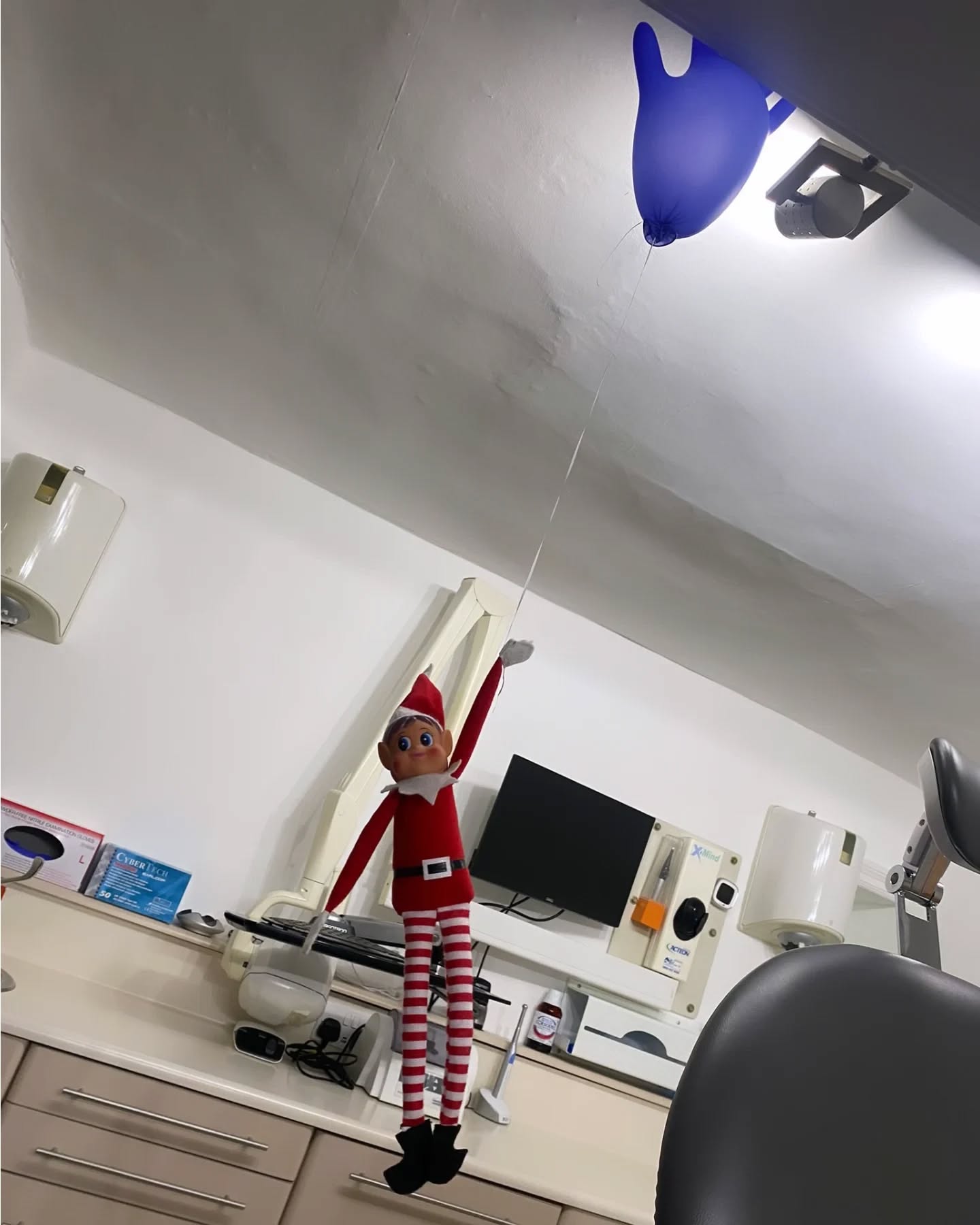 Floss has found something to help him lift his spirits today, as its only 1 week to gooo 🎄🎁✨️