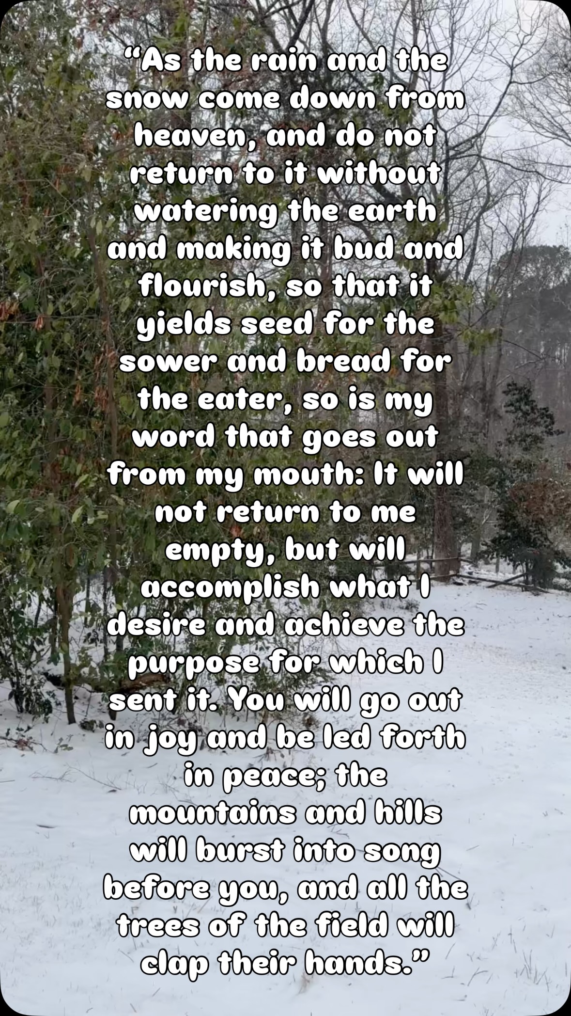 A Promise from Isaiah 55 🙌🏻
“As the rain and the snow come down from heaven, and do not return to it without watering the earth and making it bud and flourish, so that it yields seed for the sower and bread for the eater, so is my word that goes out from my mouth: It will not return to me empty, but will accomplish what I desire and achieve the purpose for which I sent it. You will go out in joy and be led forth in peace; the mountains and hills will burst into song before you, and all the trees of the field will clap their hands.” Isaiah 55:10-12 NIV