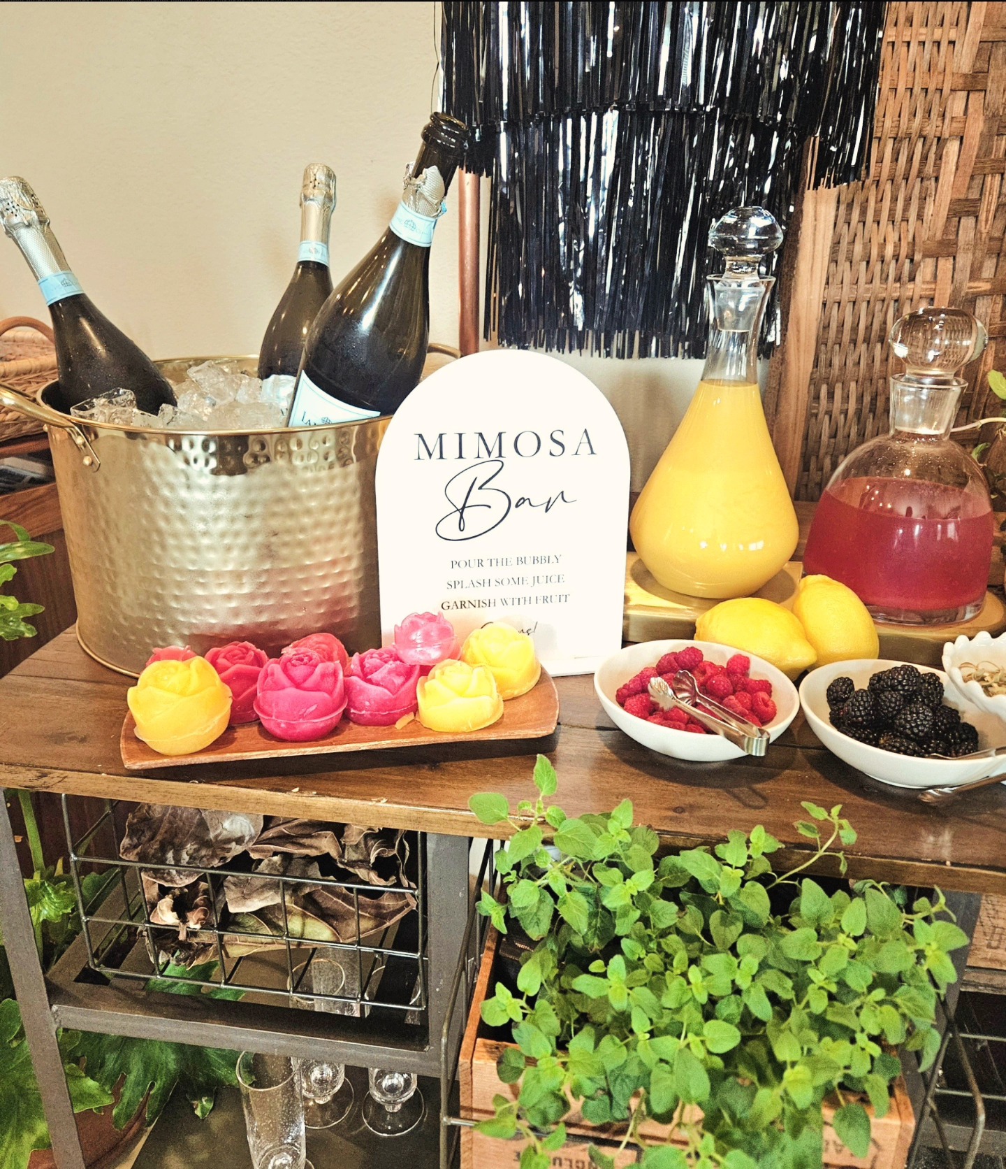 Our Mimosa Bar was the bubbly hit of the party! fresh juices, fruity garnishes, and all the good vibes 🥂
Perfect for brunches, bridal showers, or just because!
Cheers to making every detail sparkle! 🍾