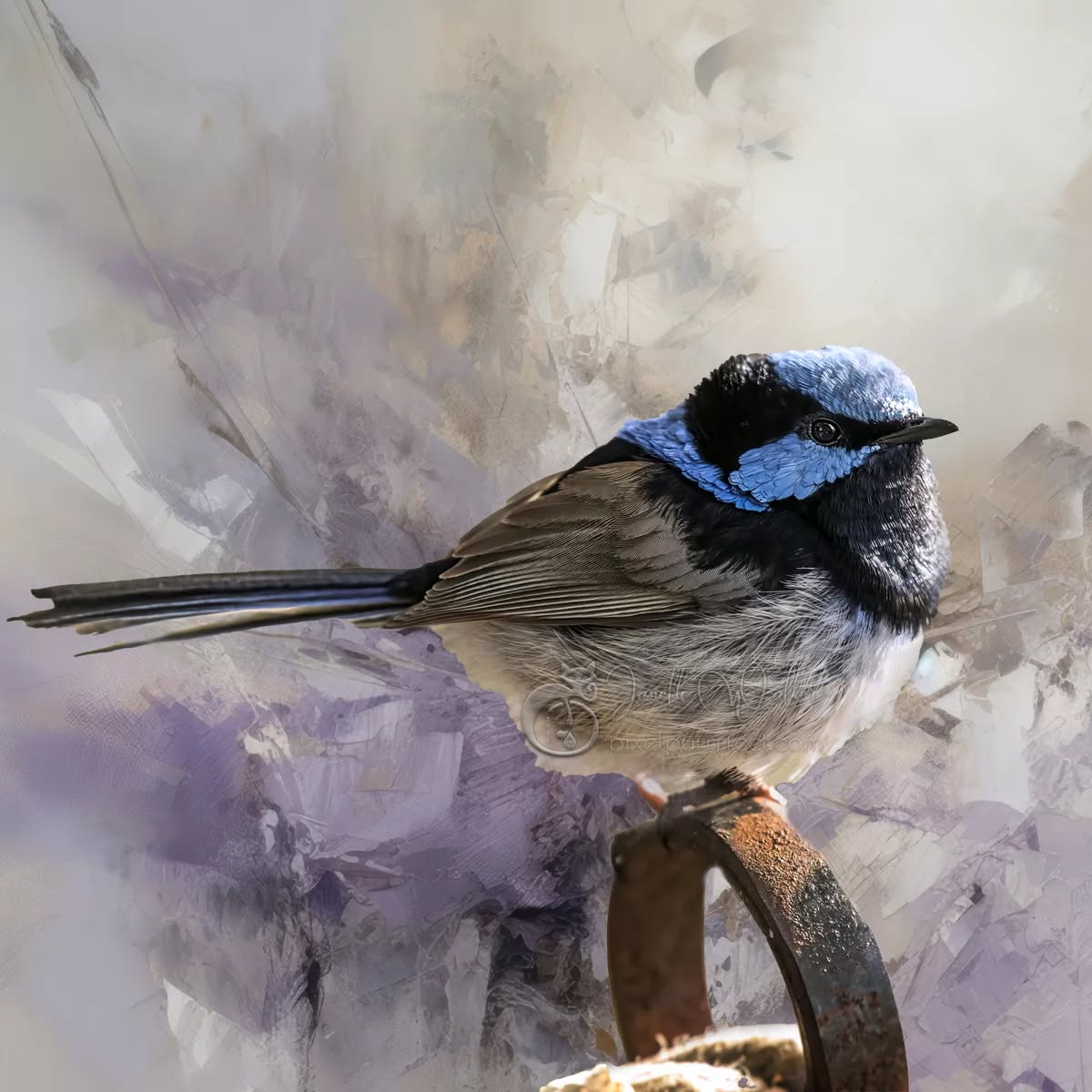 "Creativity is intelligence having fun. "
- Albert Einstein
.
.
.
.
.
.
.
.
.
.
.
.
.
.
.
.
#wrensday #pixelpurrrfectphotography #exquisitepics20_australia #rebel_artandedits #mcl_arts #illustrious_art #artistry_flair #super_photoeditz #edit_lovers_united #wildlife_artistry #birdsofaustralia #Creative_AnimalArt #bpa_arts #photo_creation_silver #rebels_nature #rebels_united #explore_wildlife #wonderland_arts #art_andfact #galleria_of_grace #illustrious_magic #dreamland_arts_of_nature
#australianbirds #wildlife_artists #everything_animals #nature_perfection #everything_imaginable #pictas_art #fiftyshades_of_nature #gottalove_a_