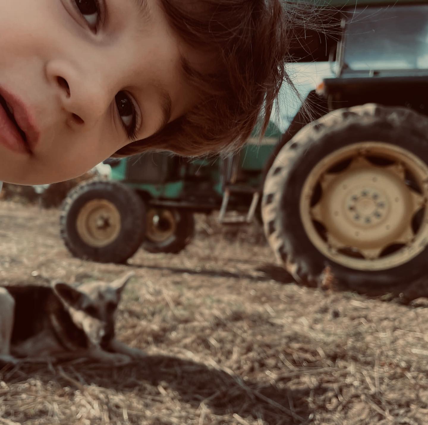 #farmlife #dogs #nature #ecoliving #farmphotography #autumnphotography #ranch #ranchlife #countryside #animals #nature