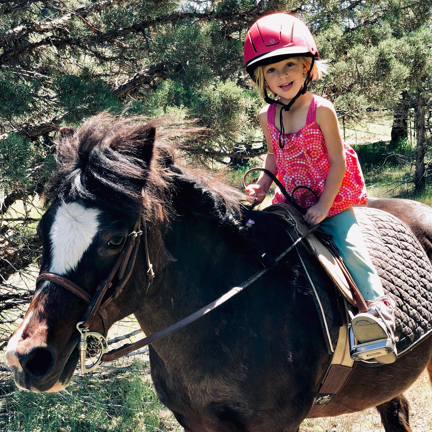 3-year-old Elizabeth and 25-year-old Sparkle. Horses teach people then people teach horses 🐴 💛