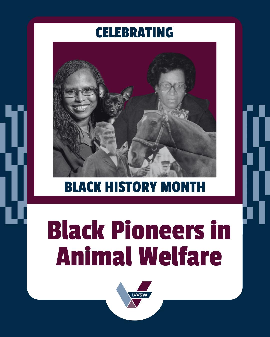 This Black History Month, we celebrate pioneers whose brilliance and compassion opened doors, created new paths, and improved lives—human and animal alike. Their legacies remind us that progress is built by those willing to challenge the status quo and lead with purpose. 🖤 Let’s honor the past and work together to create a more just and inclusive future for animals and the people who love them.
#BlackHistoryMonth #IAVSW #SocialWork #Equity #Inclusion #SocialJustice