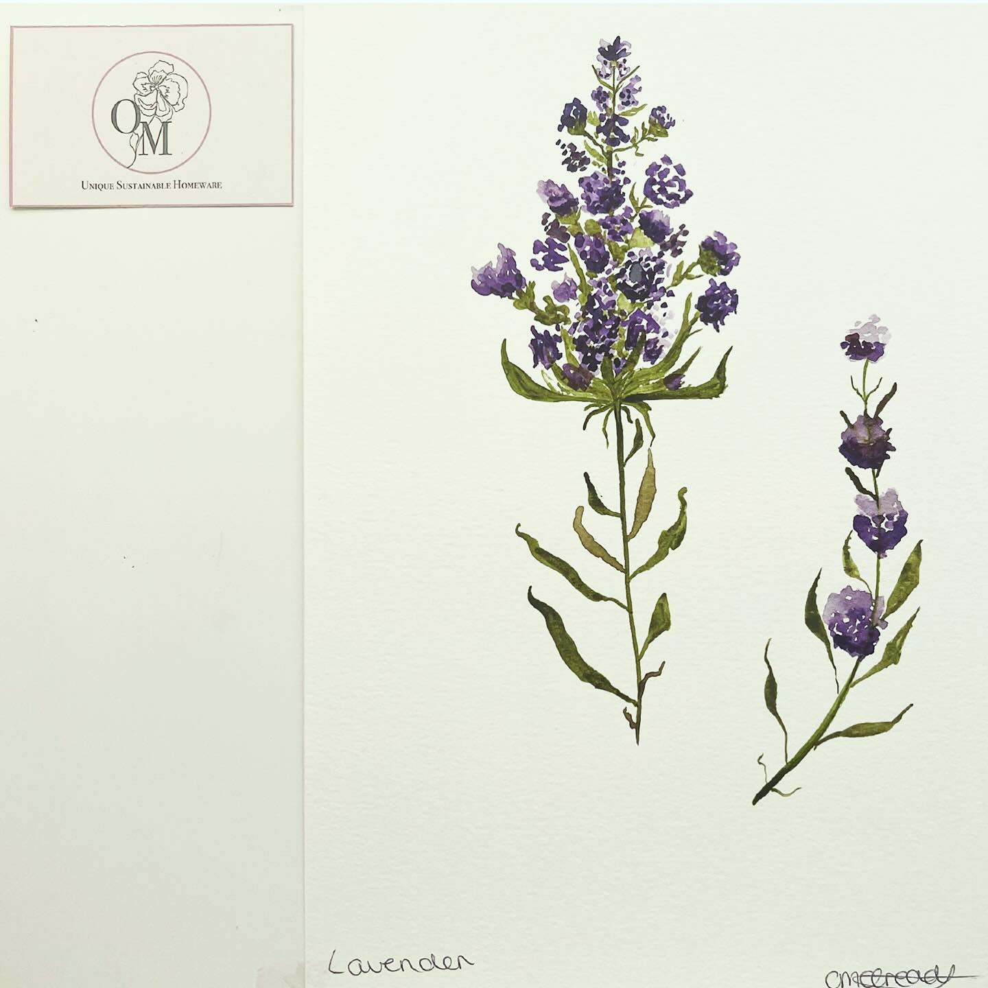 Lavender Watercolour Painting. #handdrawn #handpainted #textiles #textilesdesign #nature #floraltextiles #windsorandnewtonwatercolor #smallbusiness