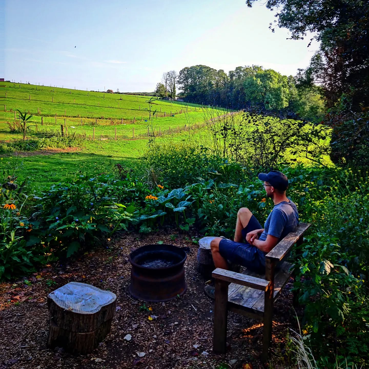 Wollemia the peaceful pod has a beautiful new firepit area 🔥 surrounded by edible summer plants and perfect to watch the stunning night sky 🌟
We love sharing this Cornish gem with our glamping guests ☘️
#glamping #cornwall #nightsky #stargazing #firepit #moonlight #nature #tamarvalley #romantic #getawayfromitall #thegreenhousesparetreat #plantbasedcamping #forage #newbalance